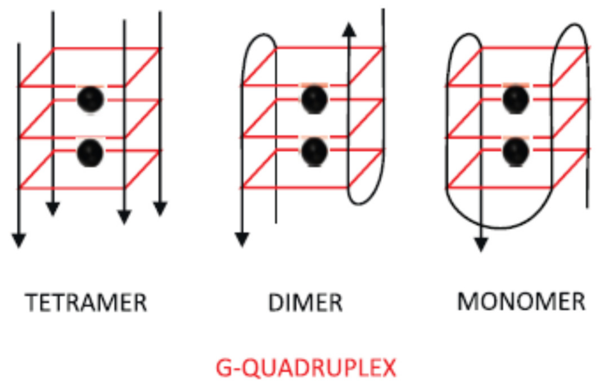 Chemosensors 09 00069 g002 Chemosensors 09 00069 g002