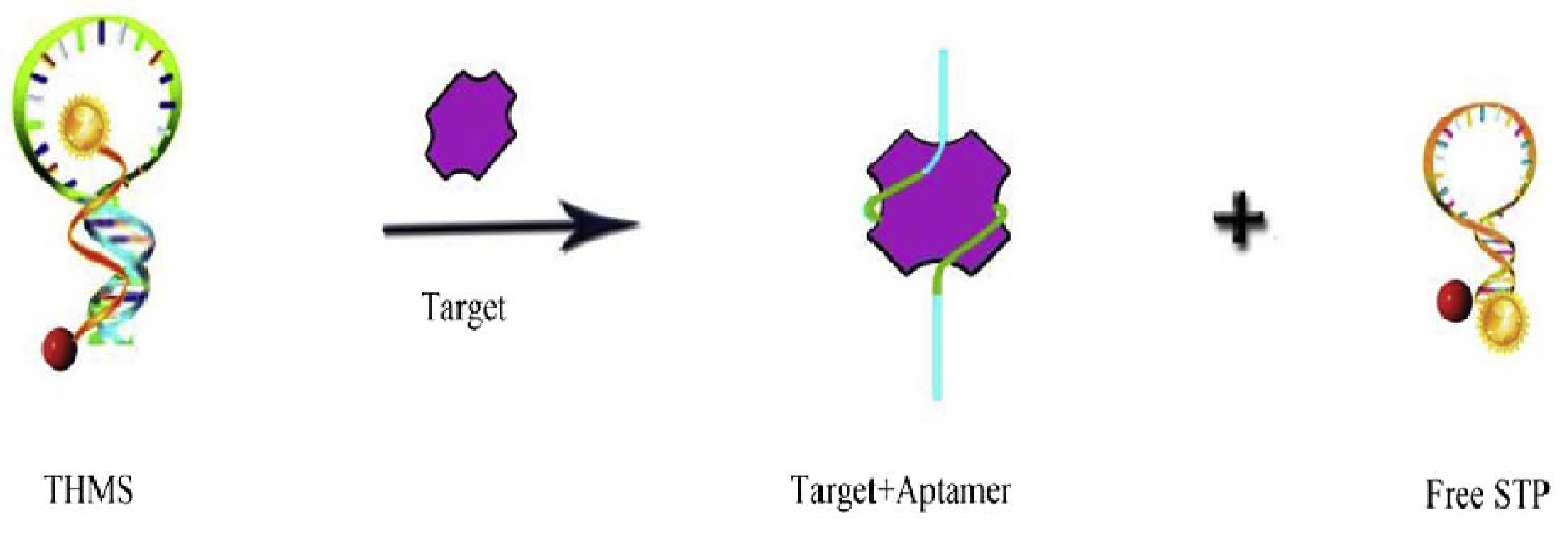 Chemosensors 09 00069 g003 Chemosensors 09 00069 g003