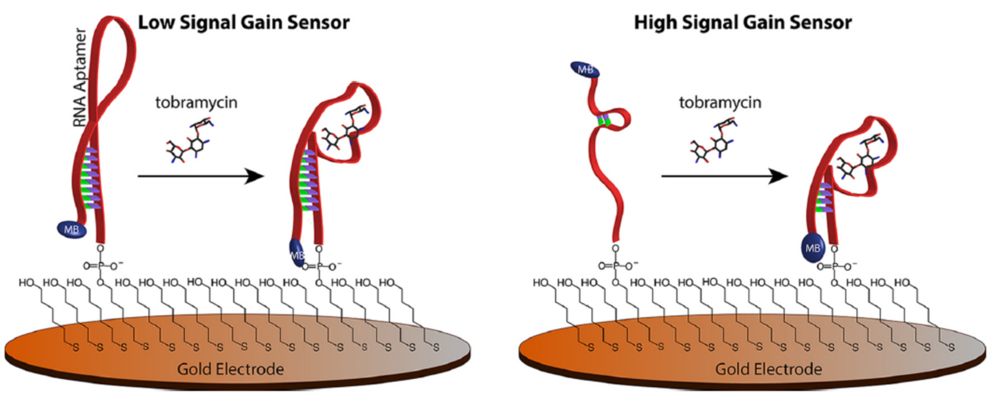 Chemosensors 09 00069 g004 Chemosensors 09 00069 g004
