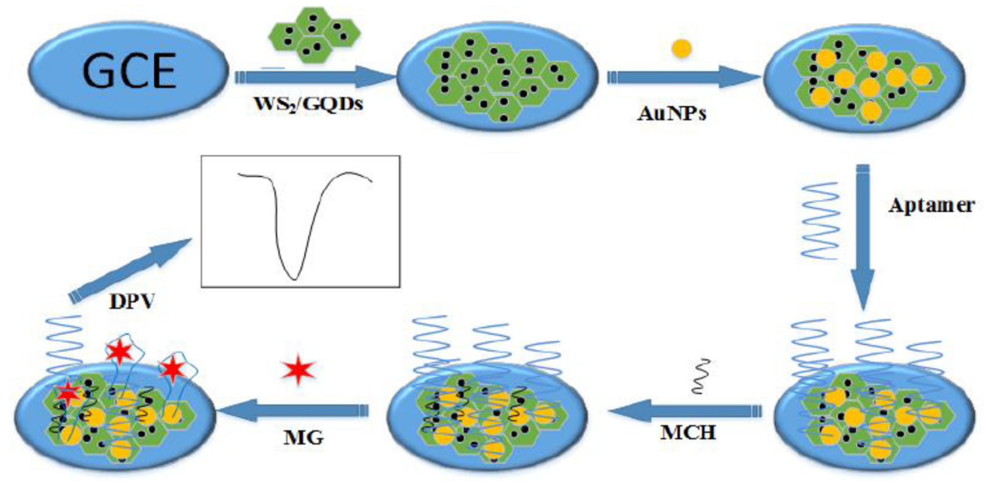 Chemosensors 09 00069 g006 Chemosensors 09 00069 g006