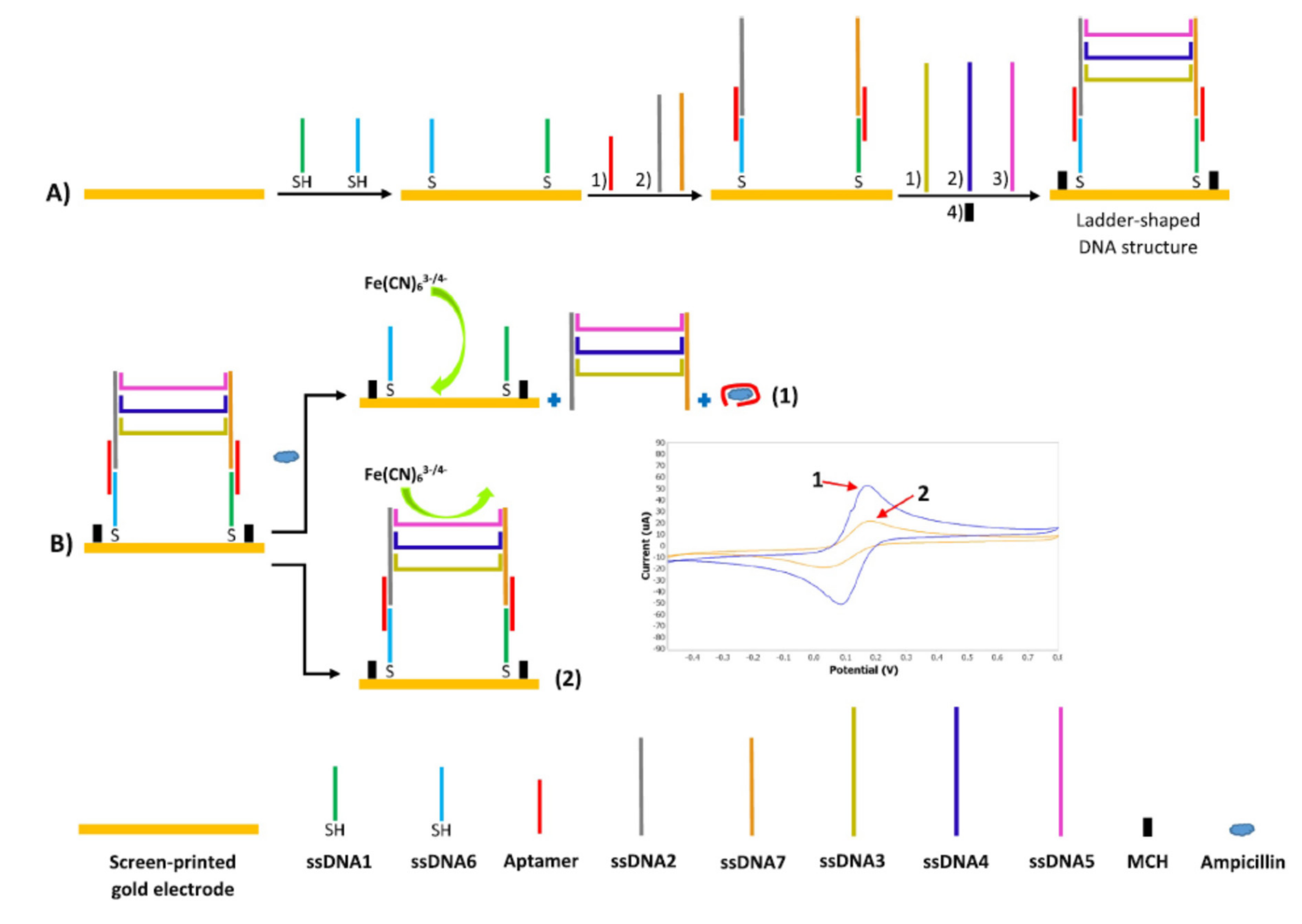 Chemosensors 09 00069 g007 Chemosensors 09 00069 g007