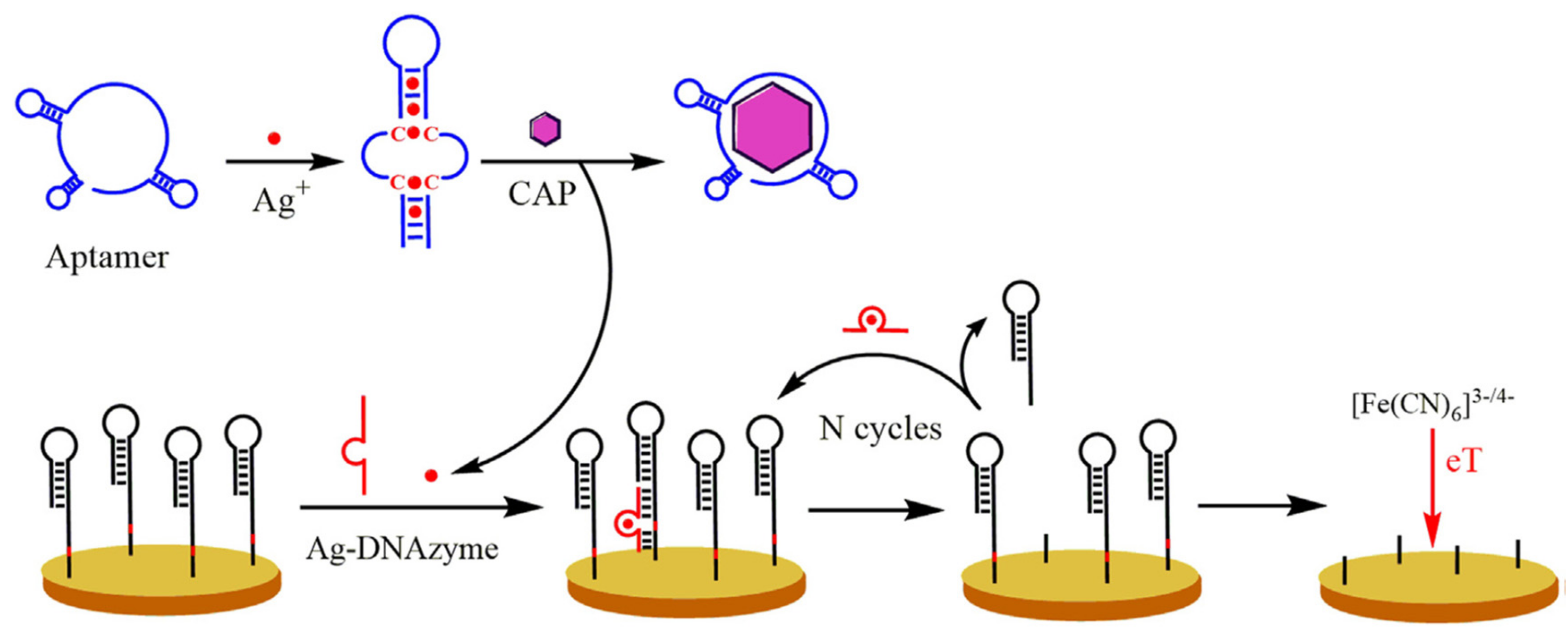 Chemosensors 09 00069 g008 Chemosensors 09 00069 g008