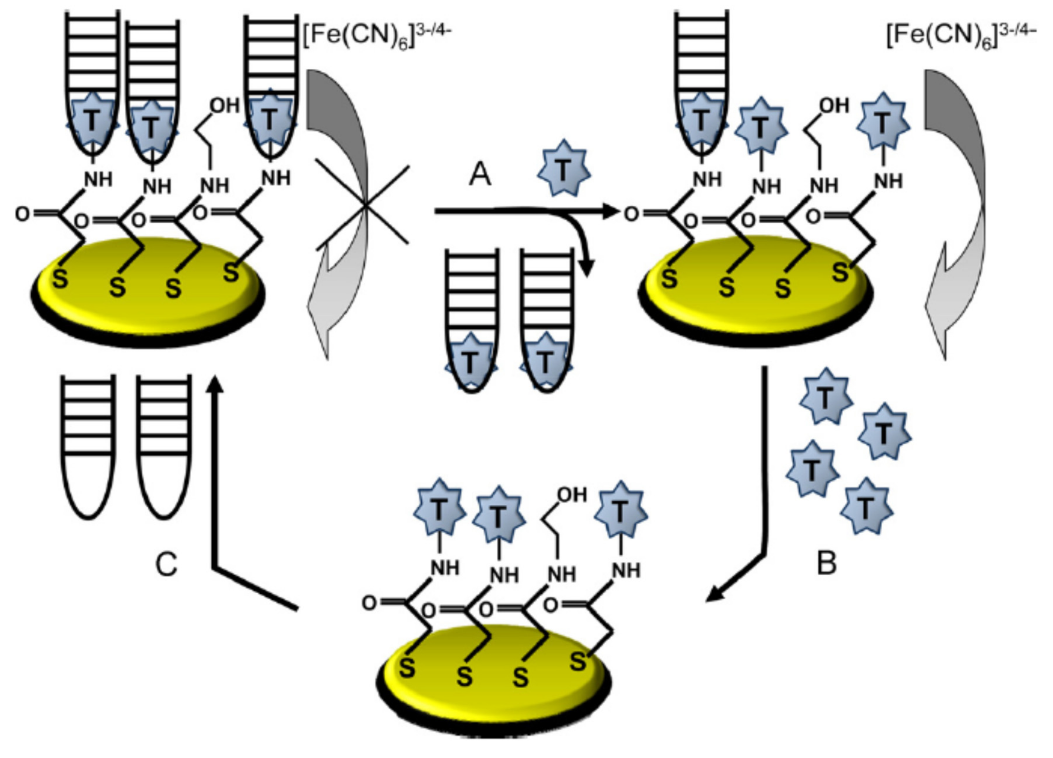 Chemosensors 09 00069 g009 Chemosensors 09 00069 g009