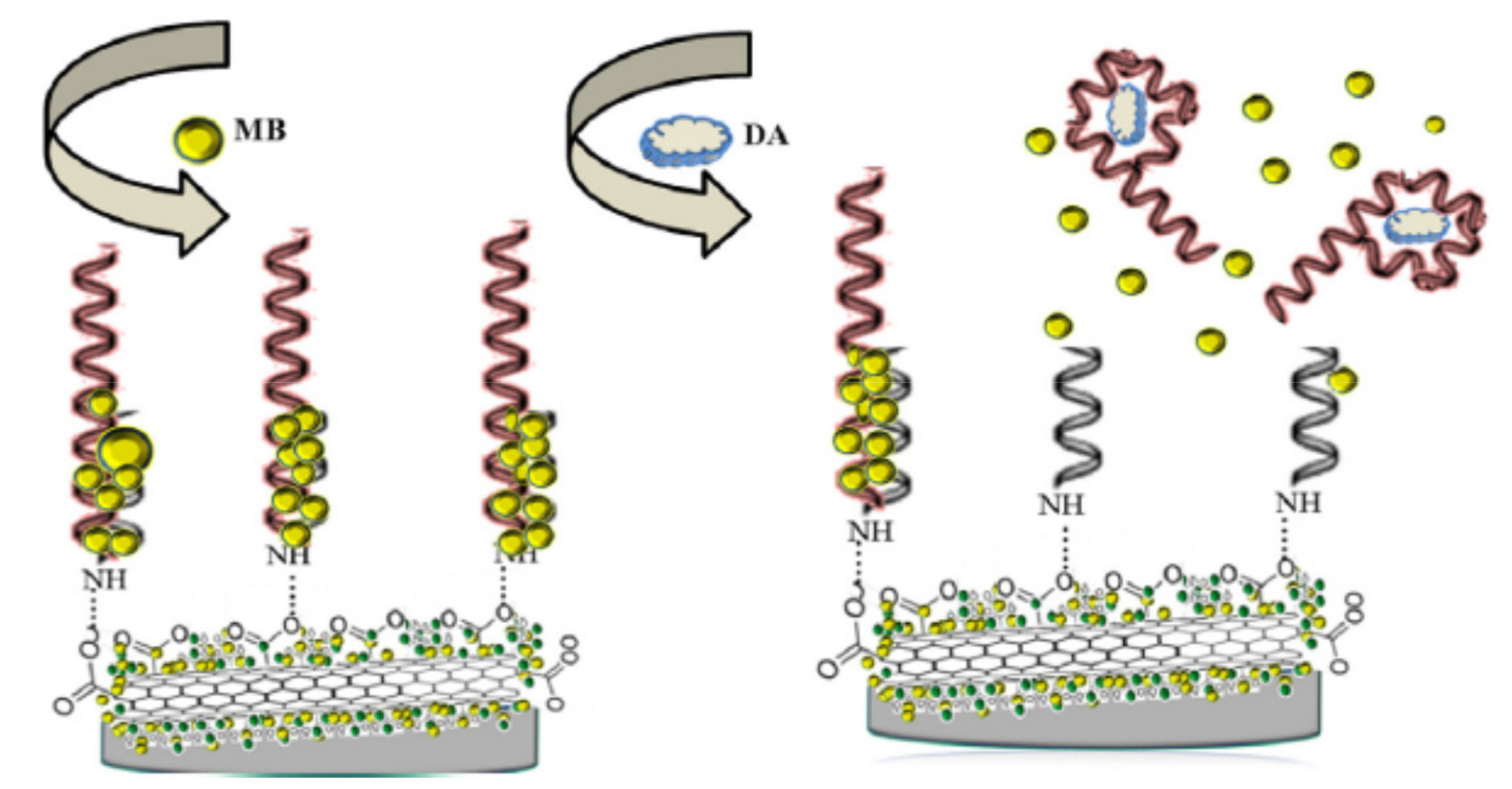 Chemosensors 09 00069 g010 Chemosensors 09 00069 g010