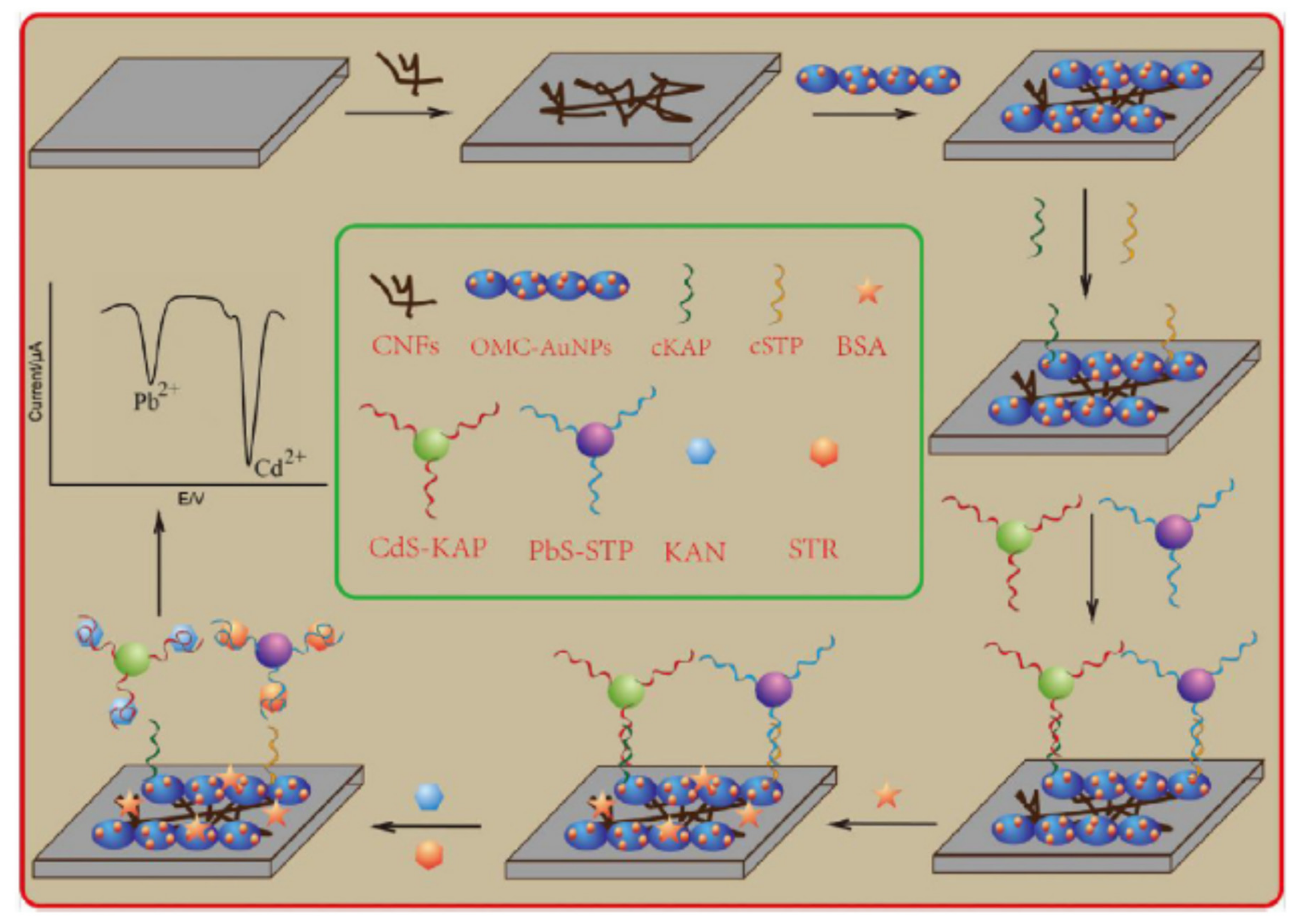 Chemosensors 09 00069 g017 Chemosensors 09 00069 g017
