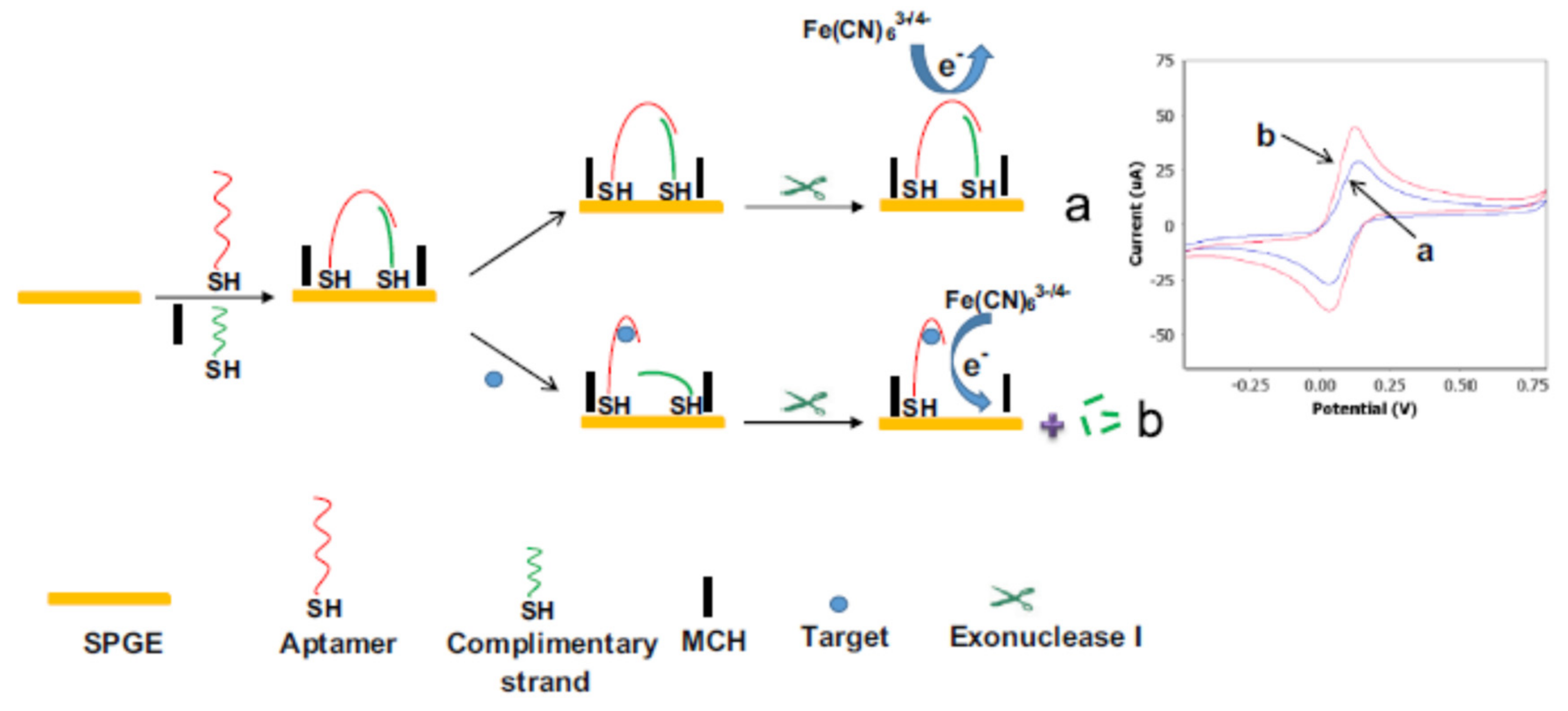 Chemosensors 09 00069 g018 Chemosensors 09 00069 g018