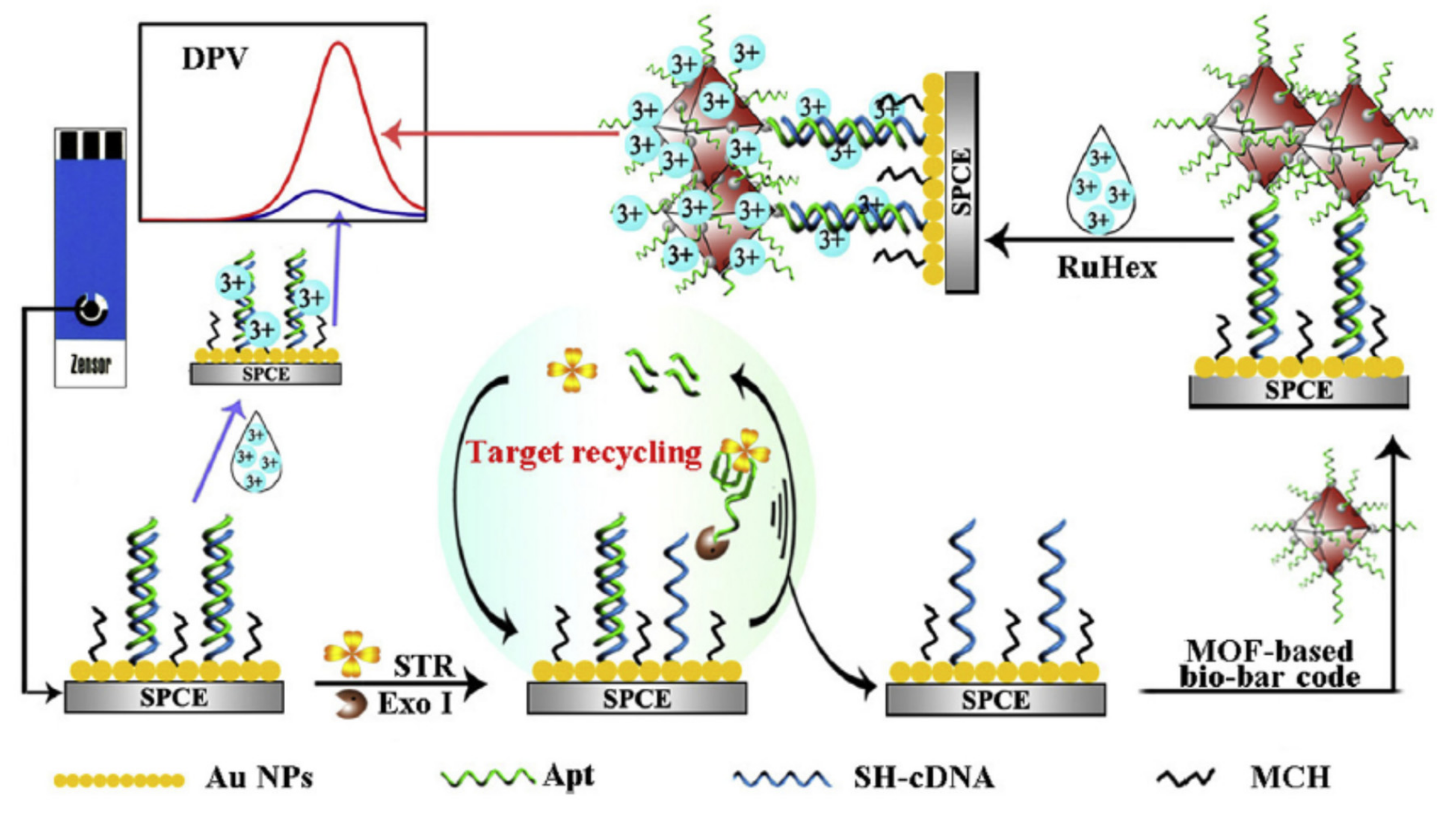Chemosensors 09 00069 g020 Chemosensors 09 00069 g020