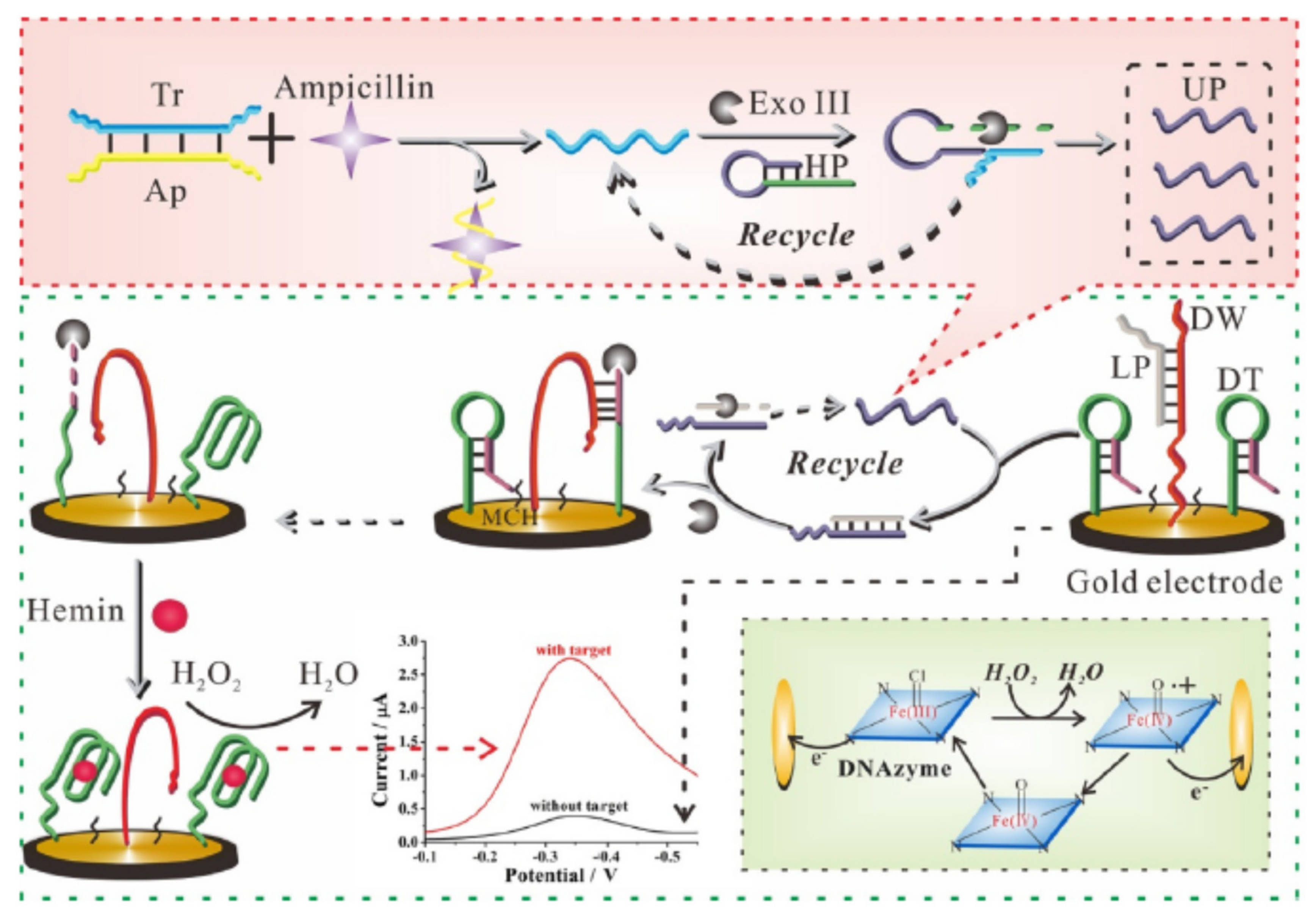 Chemosensors 09 00069 g021 Chemosensors 09 00069 g021