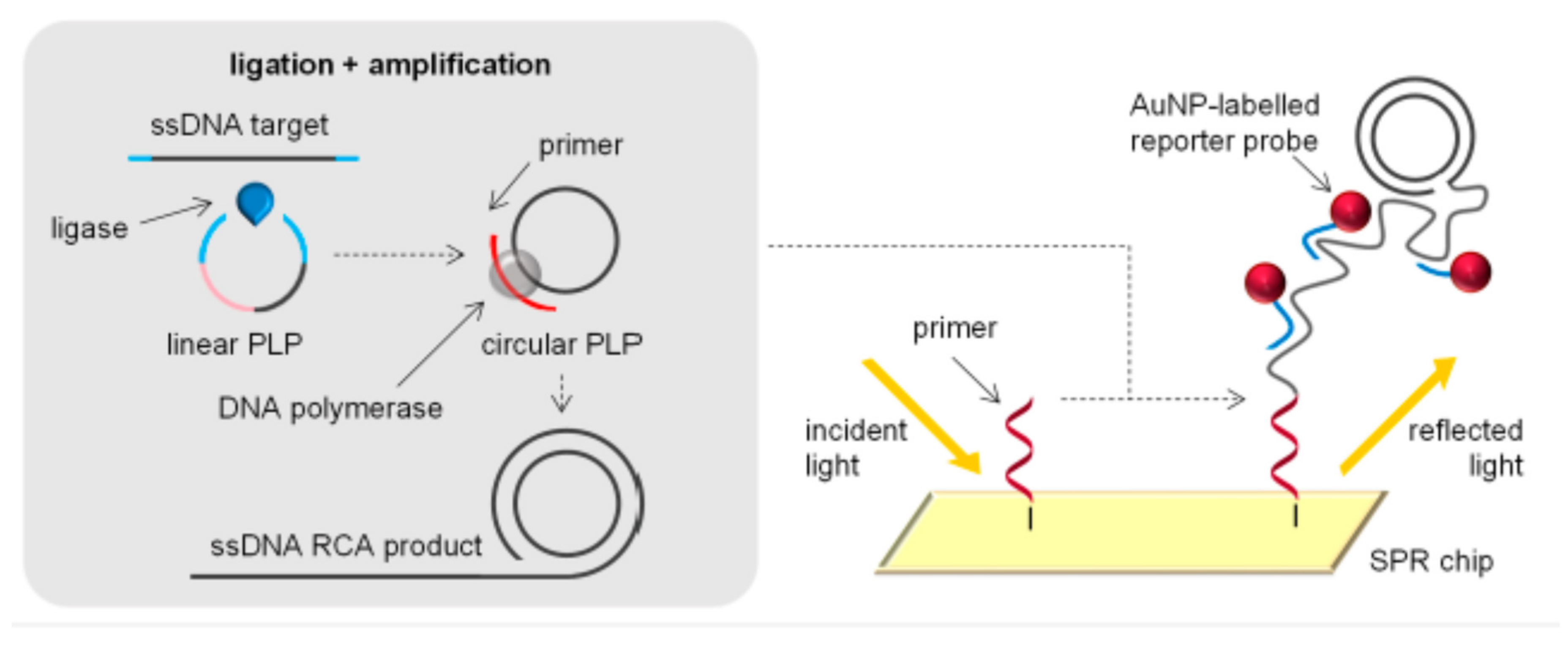 Chemosensors 09 00069 g023 Chemosensors 09 00069 g023