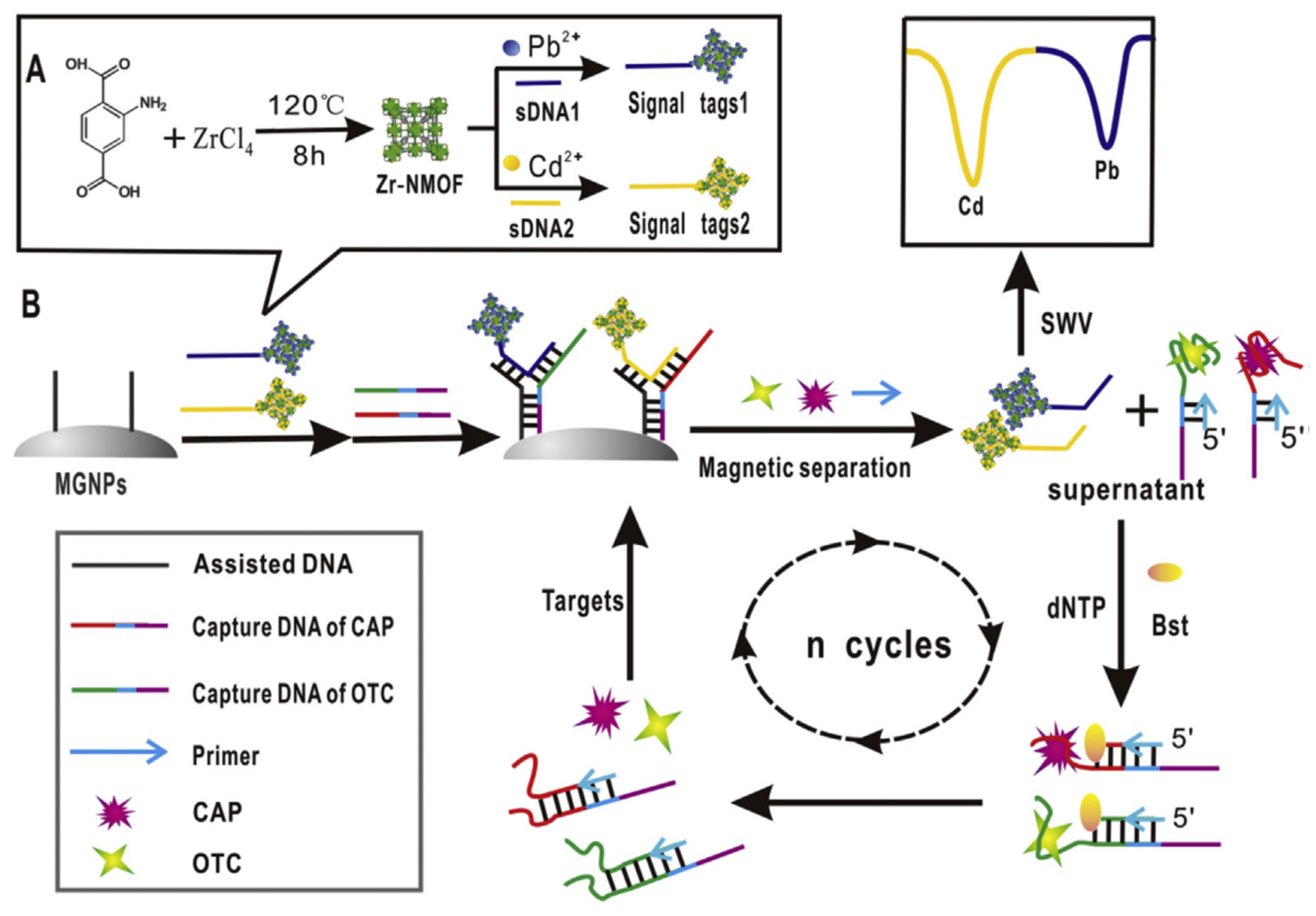 Chemosensors 09 00069 g024 Chemosensors 09 00069 g024