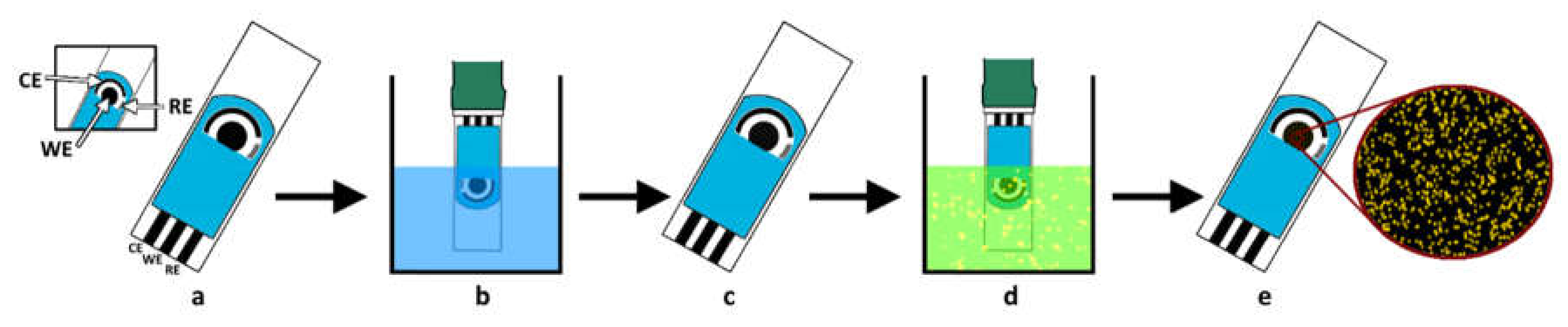 Chemosensors 09 00073 g001