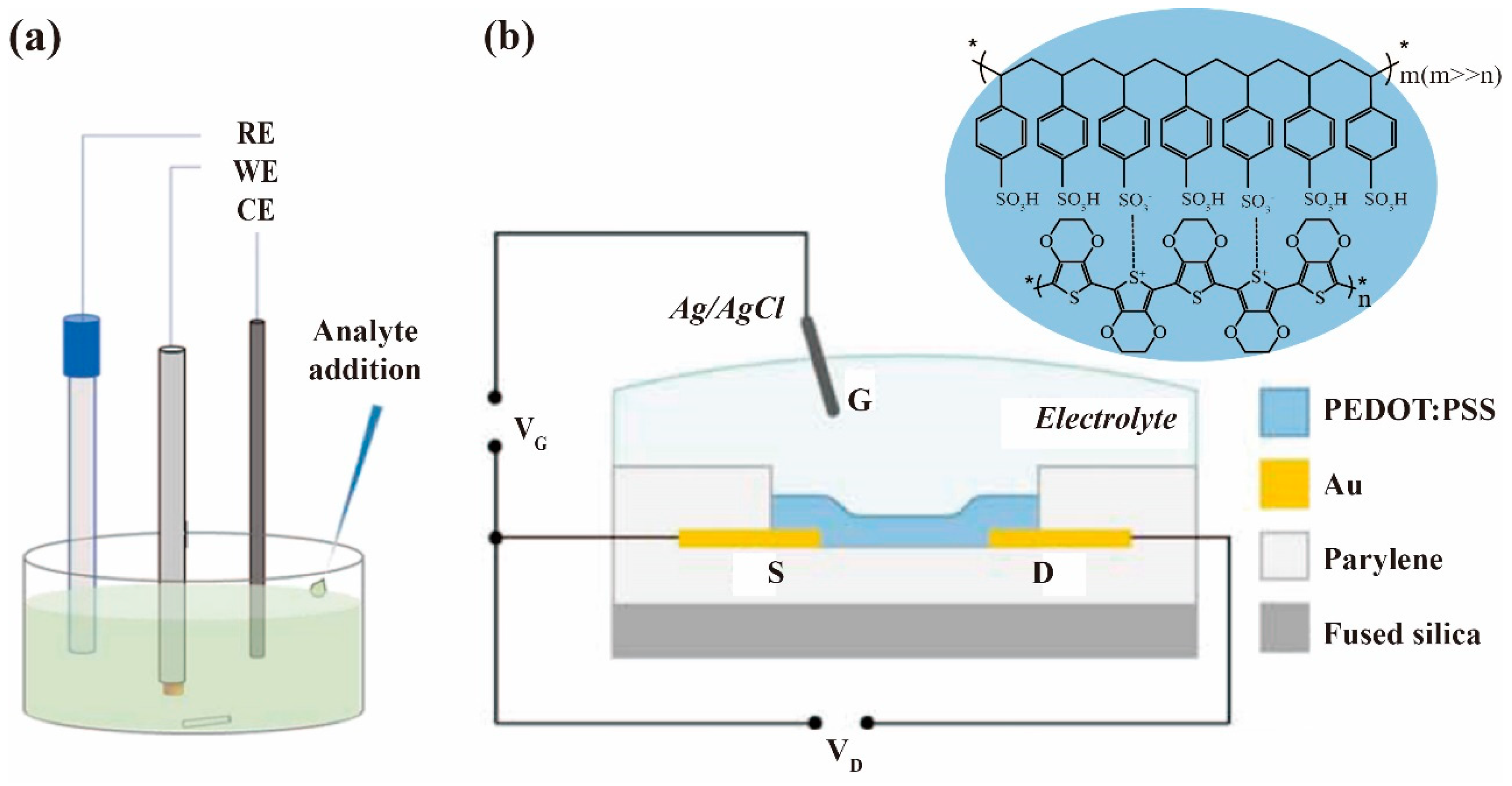 Chemosensors 09 00079 g001