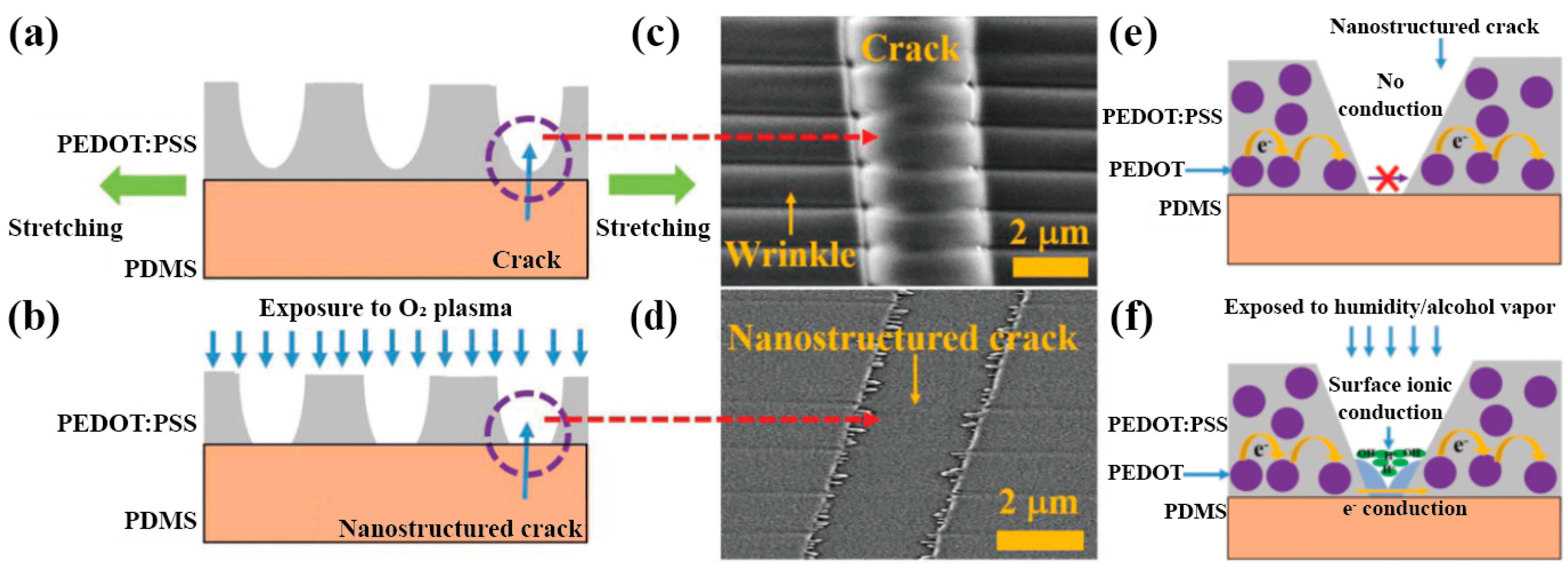Chemosensors 09 00079 g011