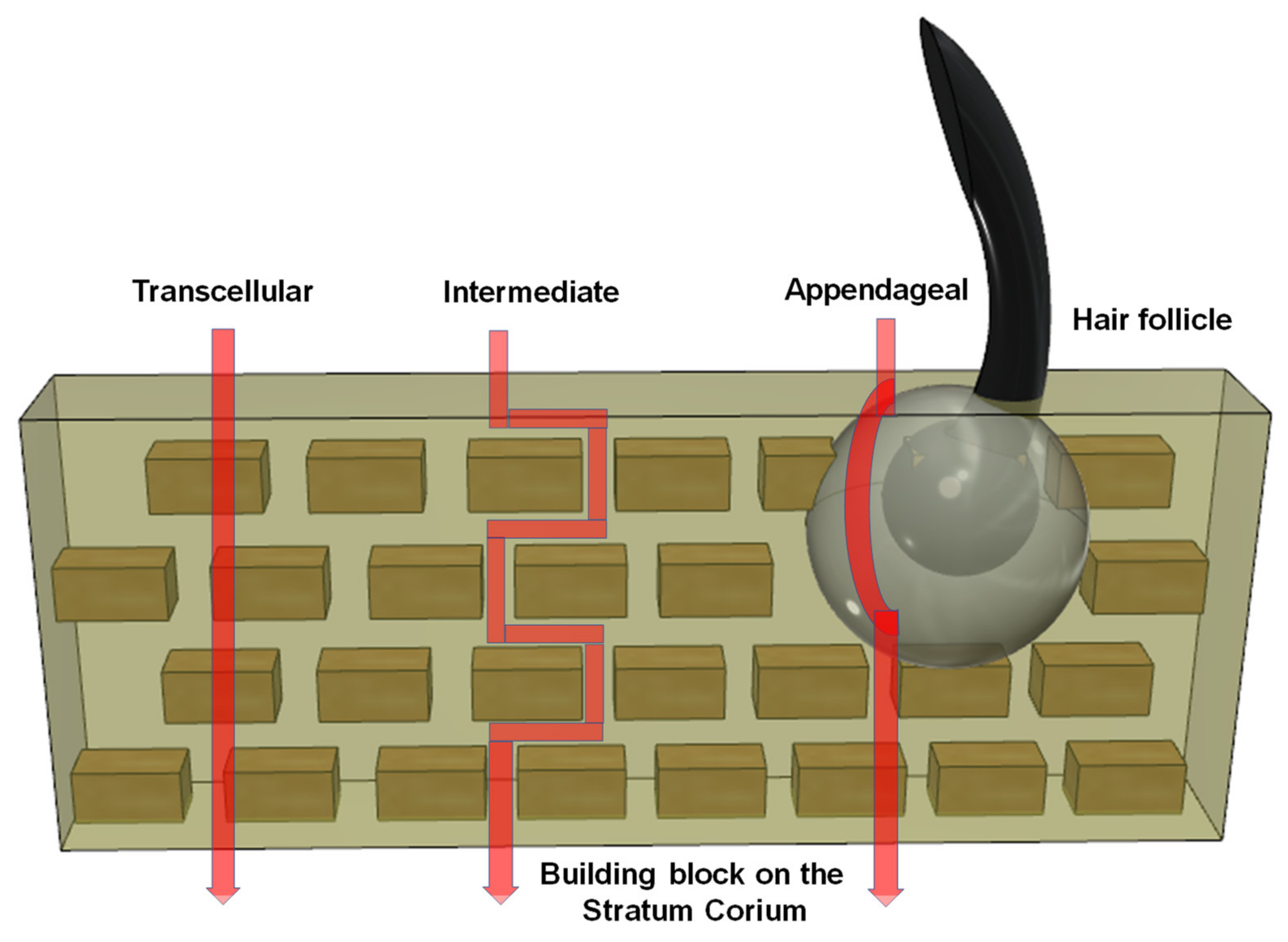 Chemosensors 09 00083 g001