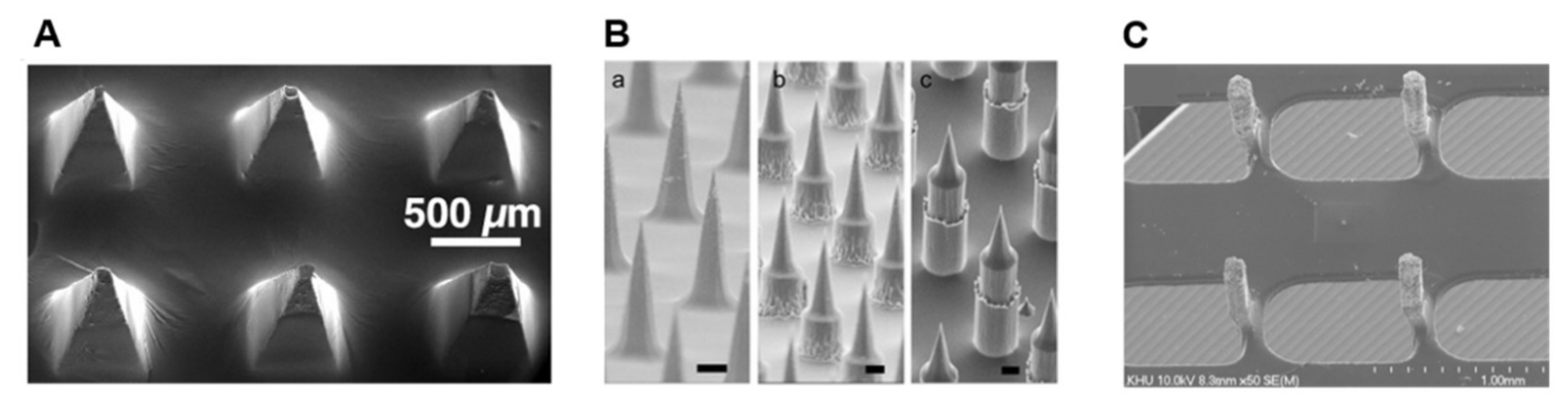 Chemosensors 09 00083 g003a