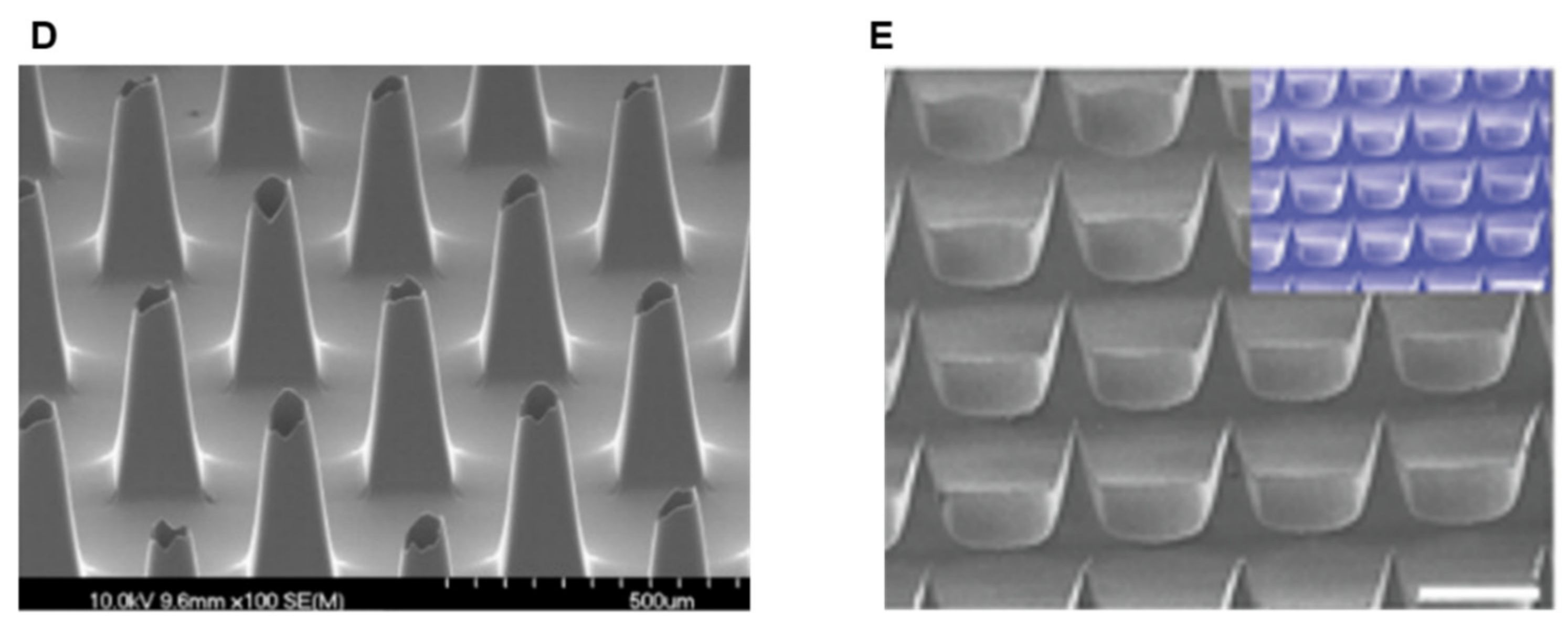 Chemosensors 09 00083 g003b