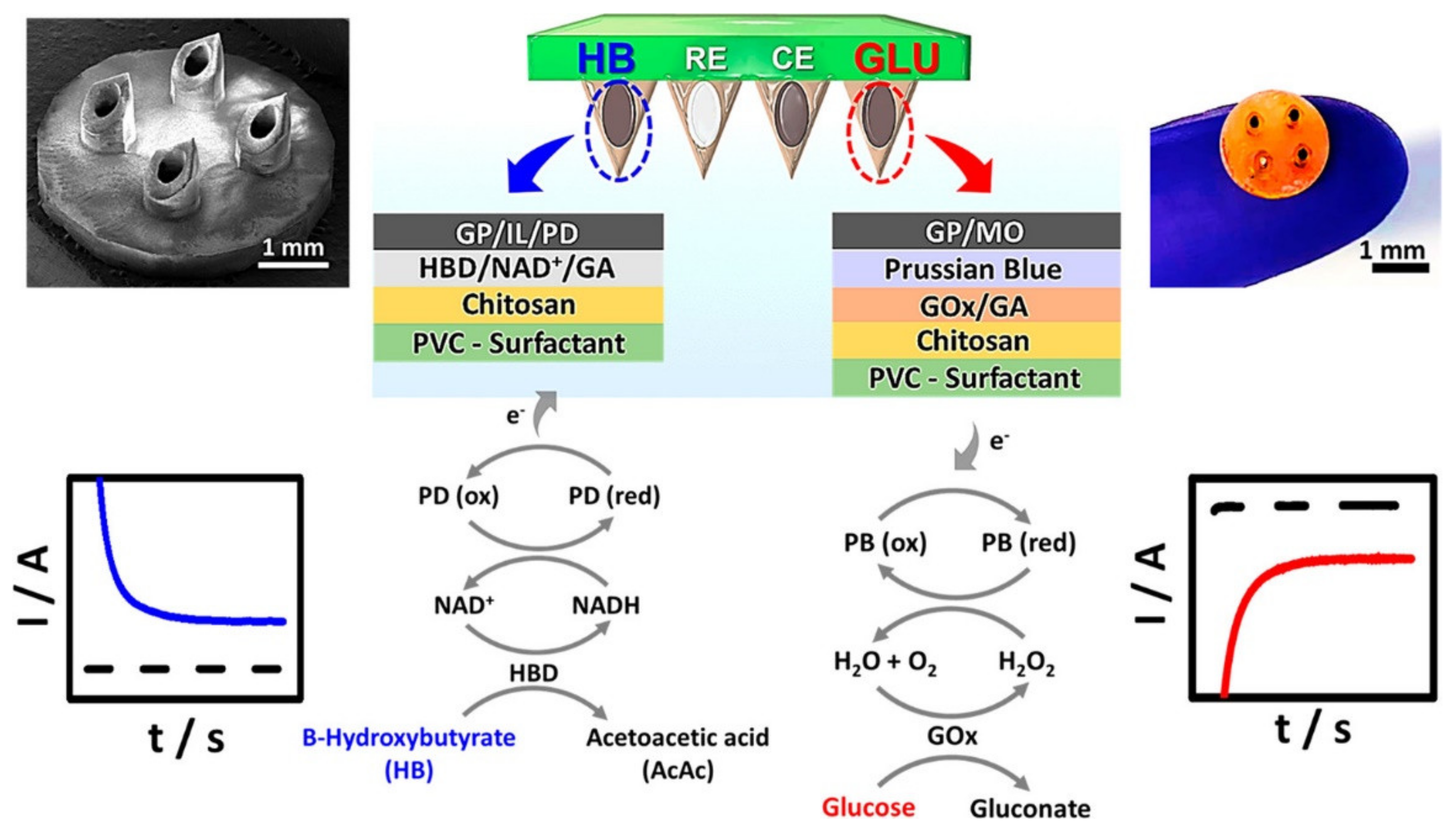 Chemosensors 09 00083 g007