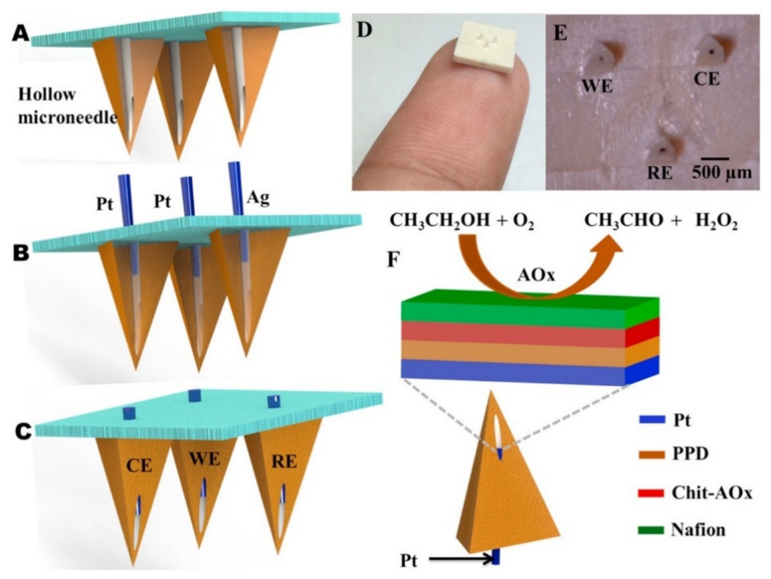 Chemosensors 09 00083 g008