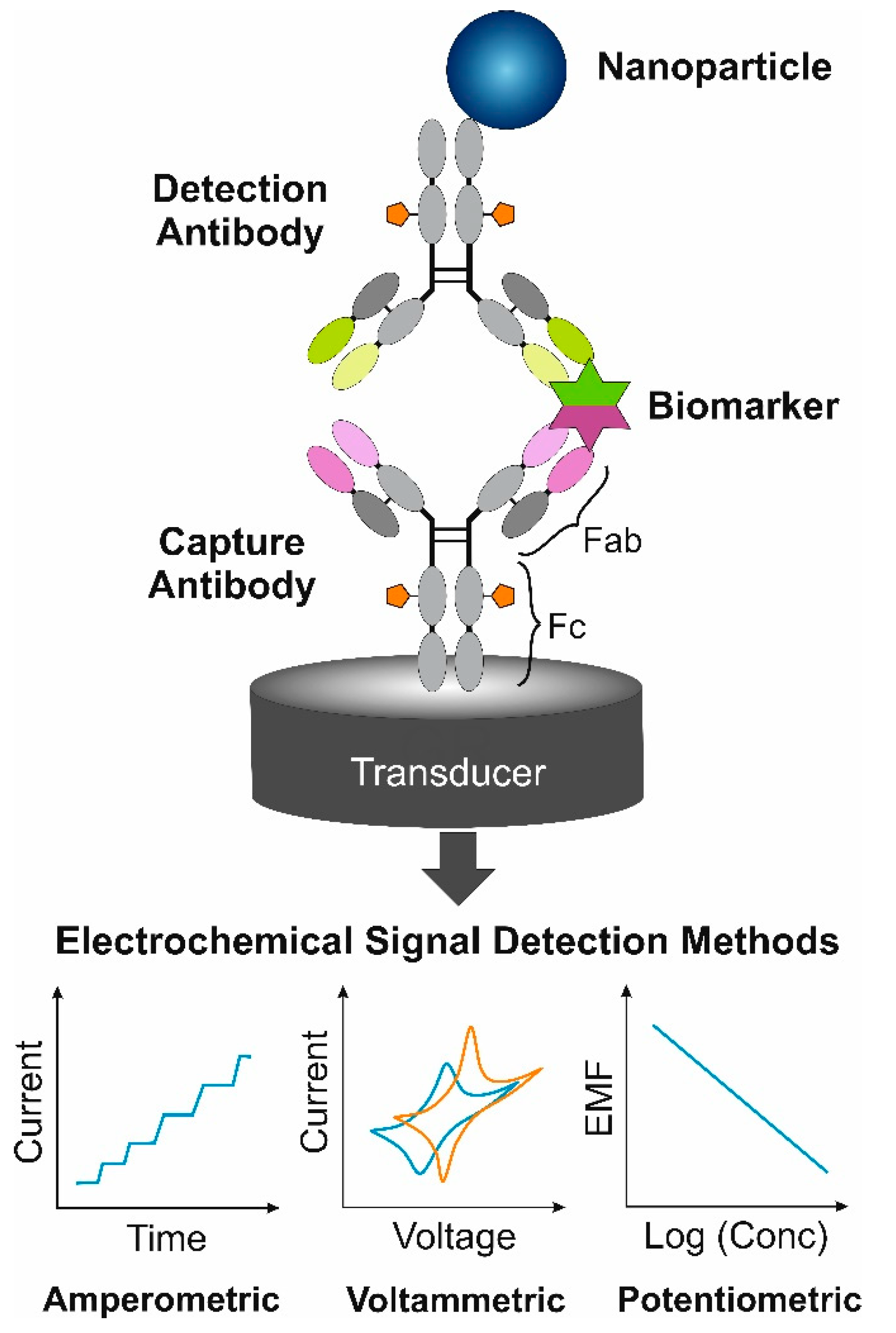 Chemosensors 09 00085 g001