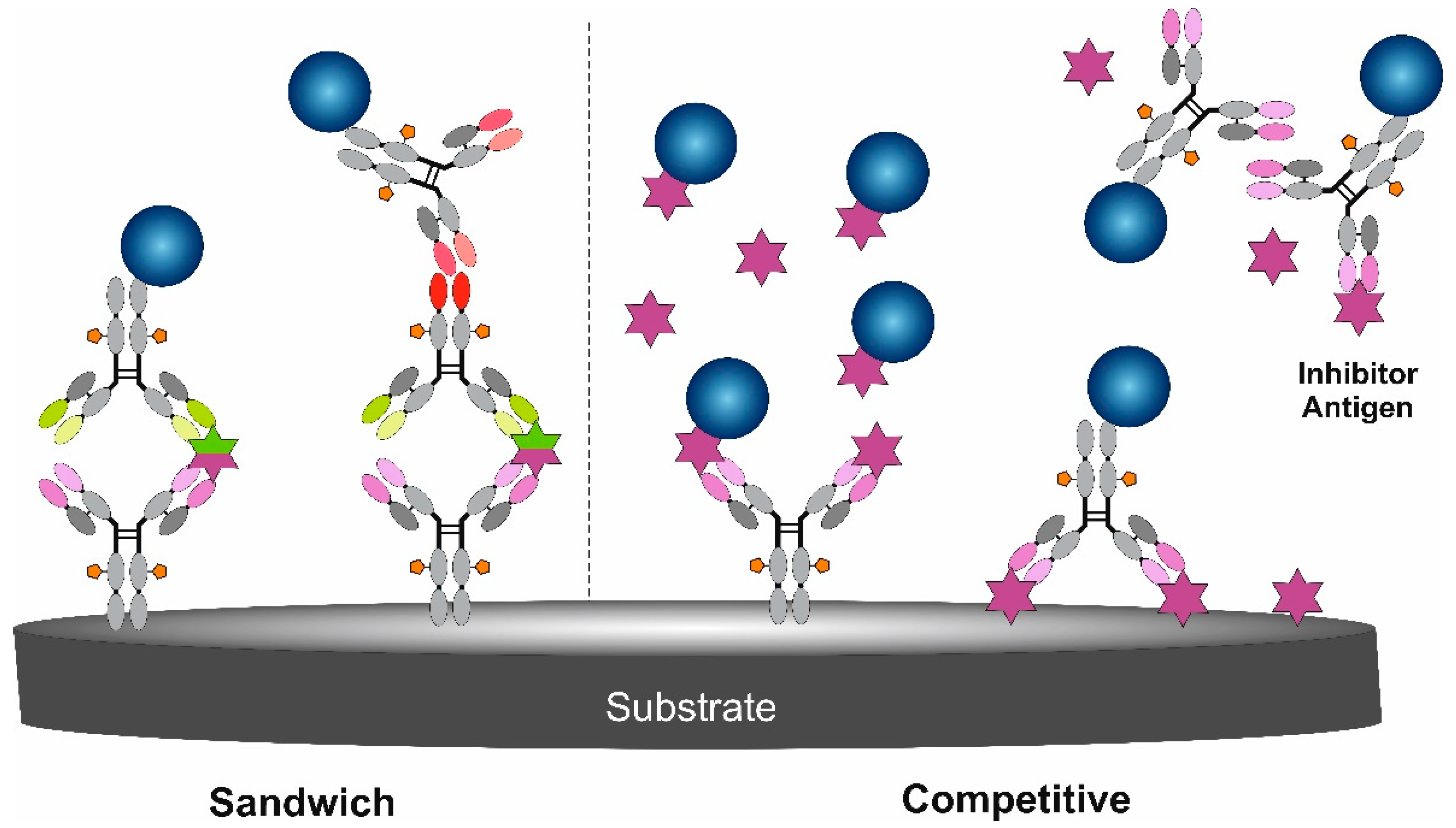 Chemosensors 09 00085 g002