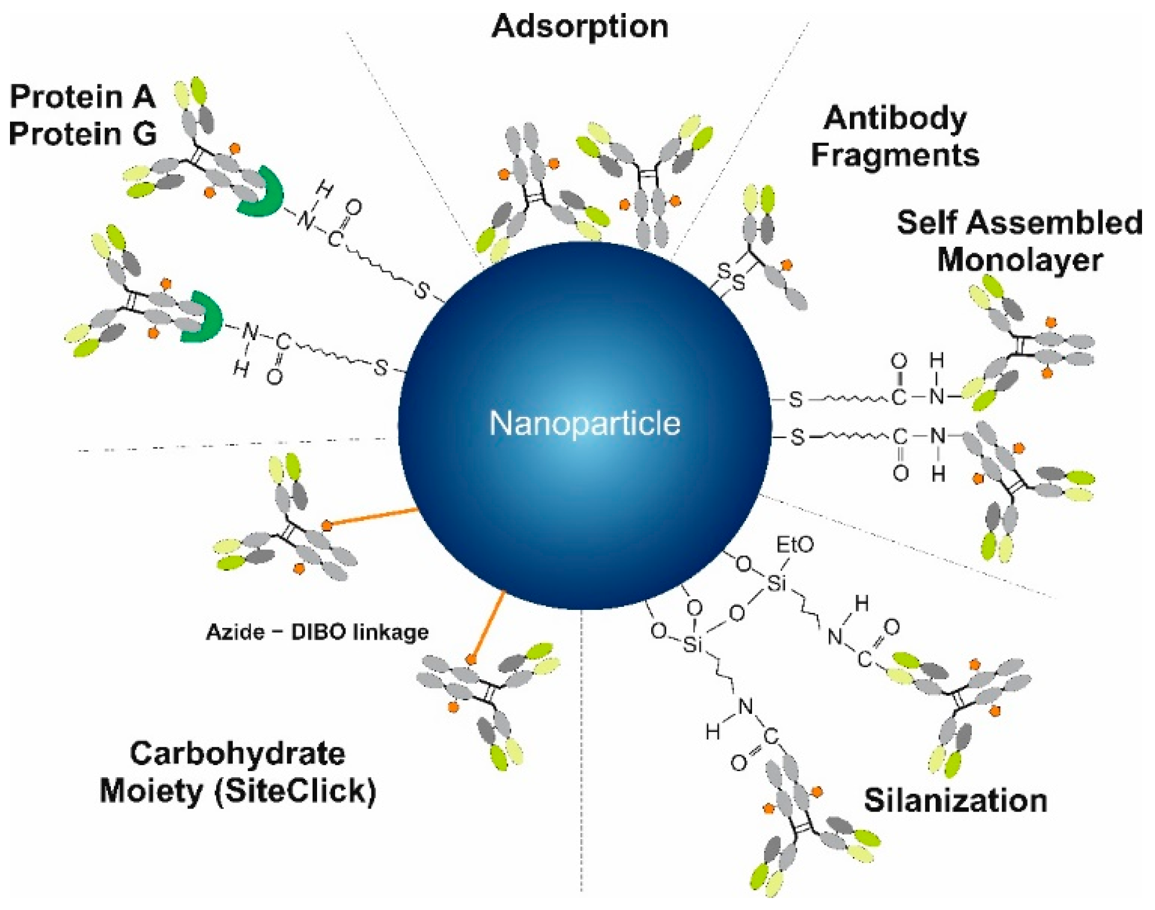 Chemosensors 09 00085 g003