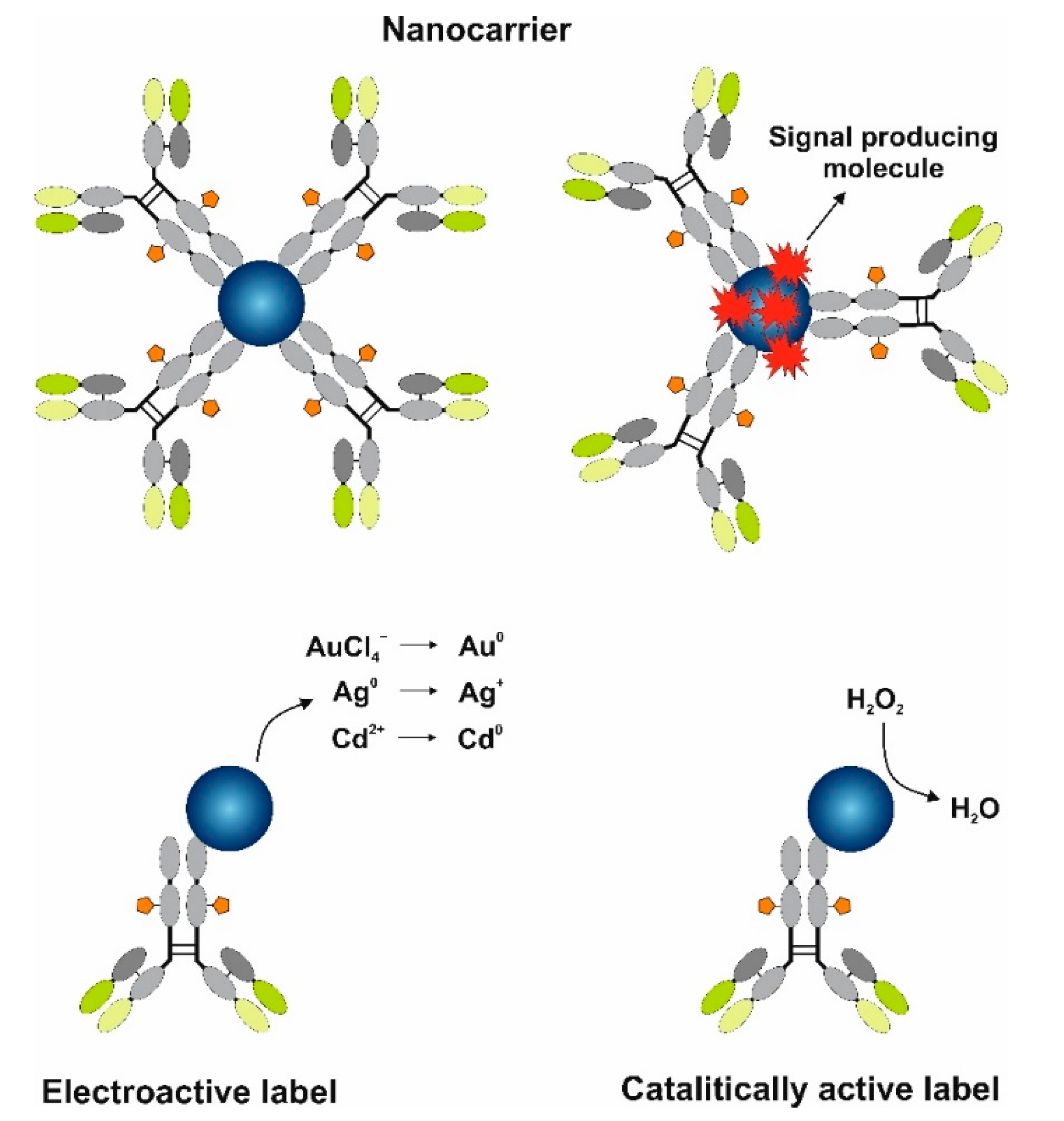 Chemosensors 09 00085 g004