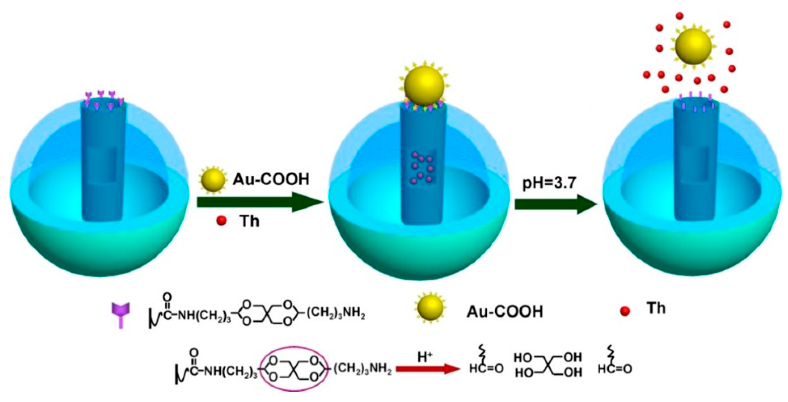 Chemosensors 09 00085 g005