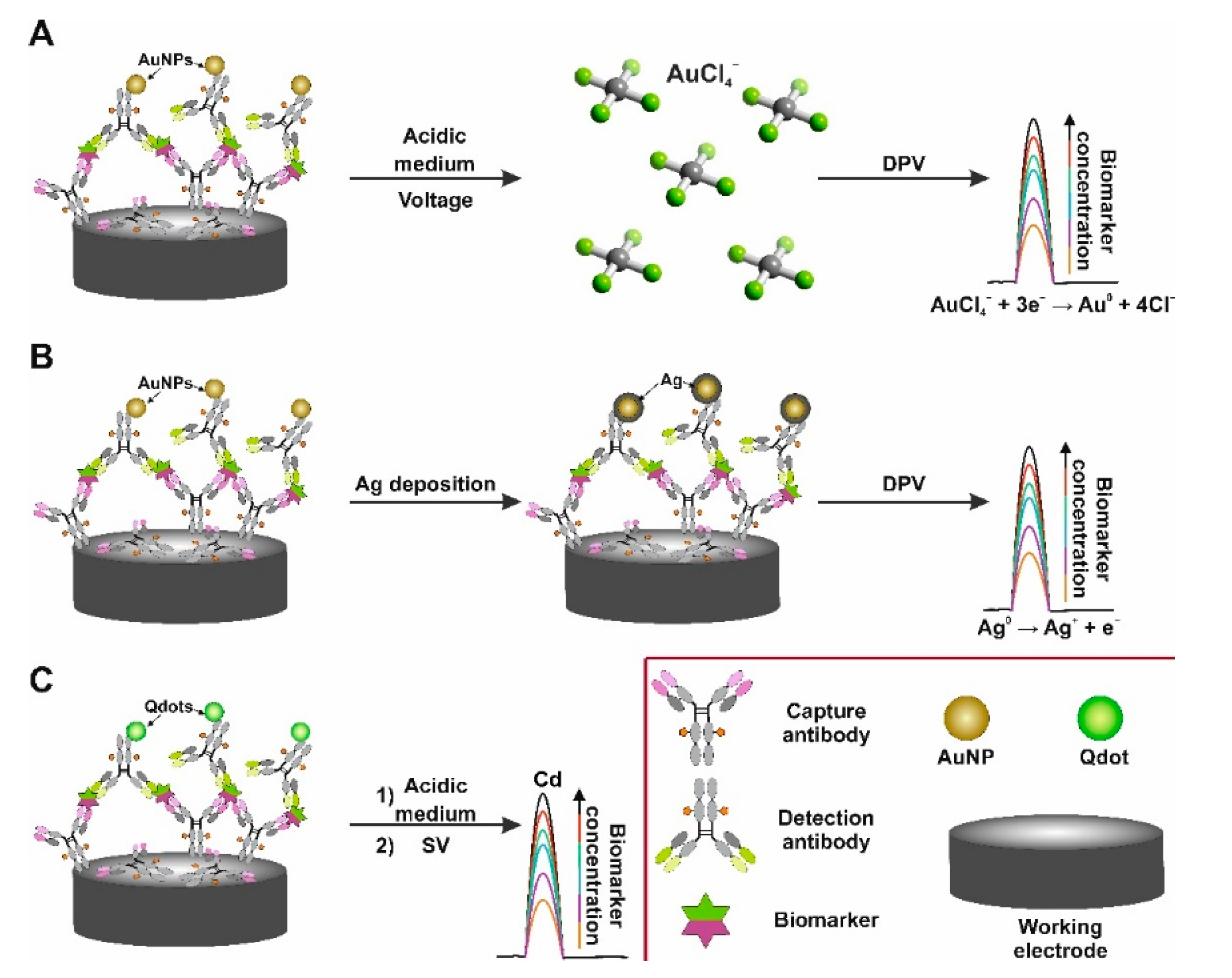 Chemosensors 09 00085 g006