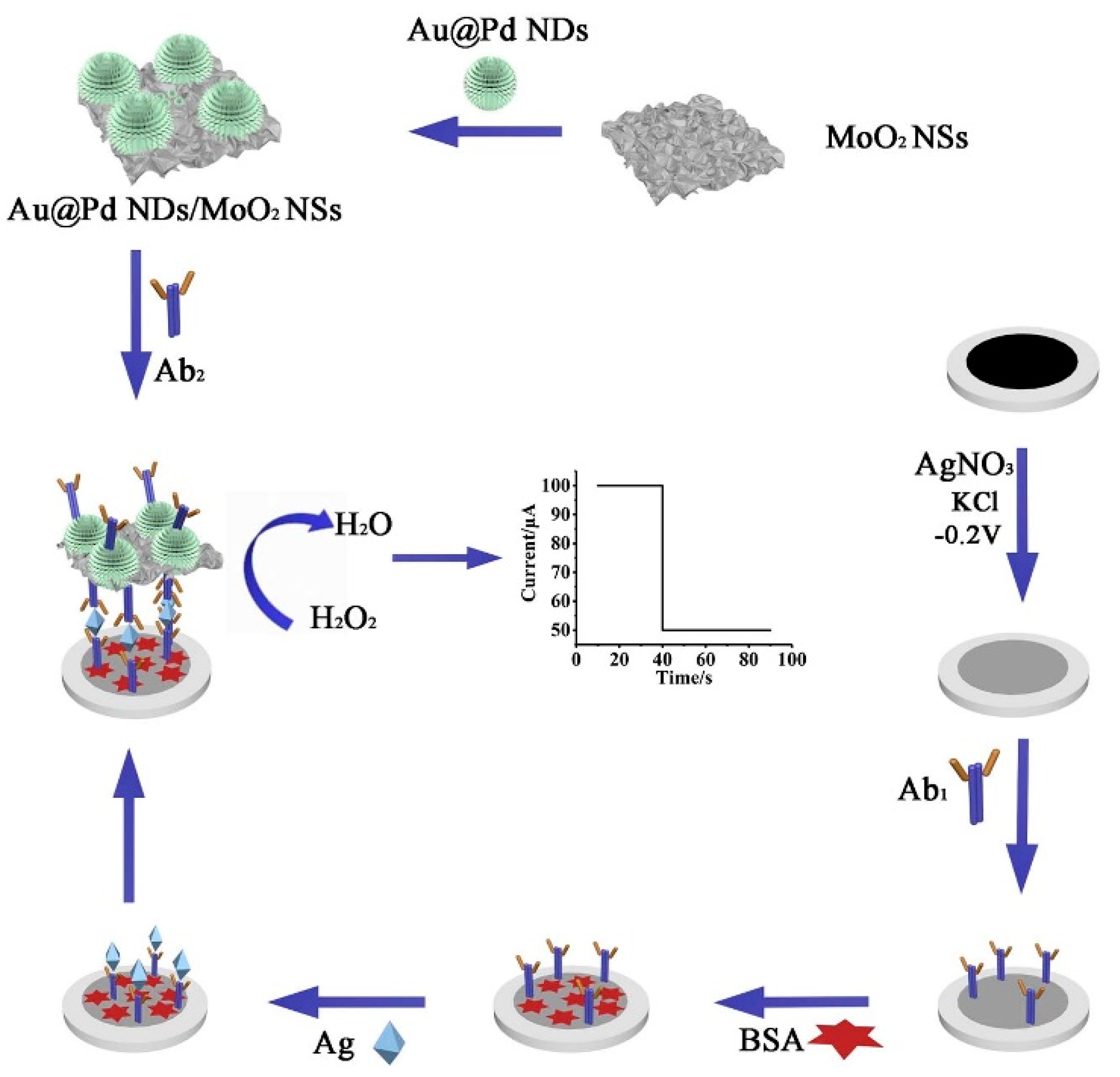 Chemosensors 09 00085 g007