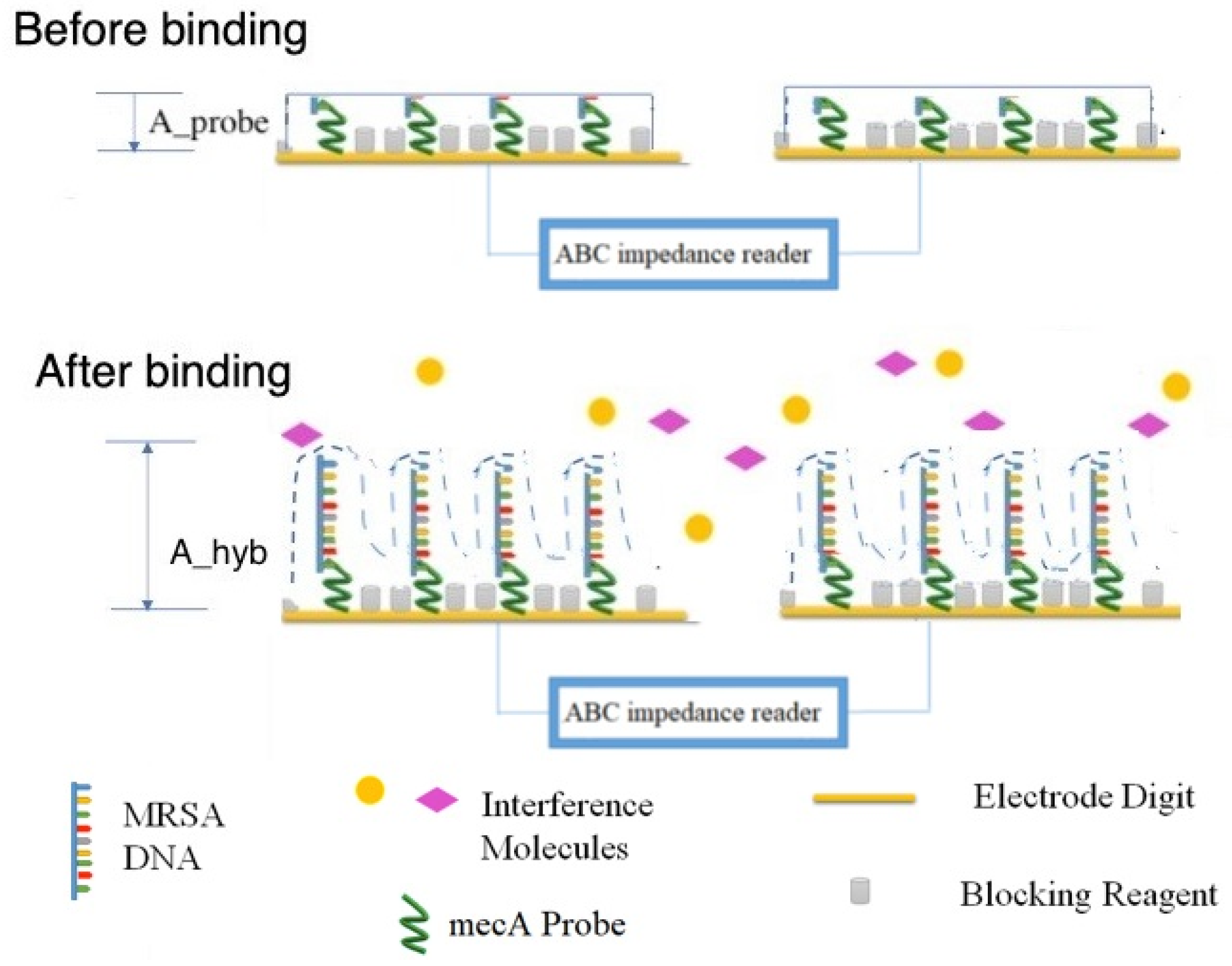 Chemosensors 09 00097 g002