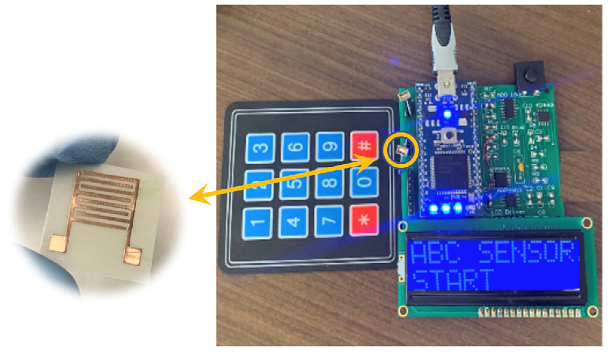 Chemosensors 09 00097 g003