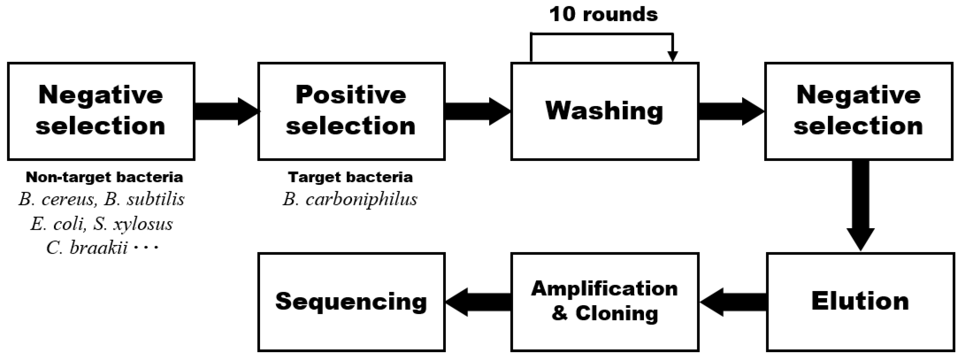 Chemosensors 09 00121 g001