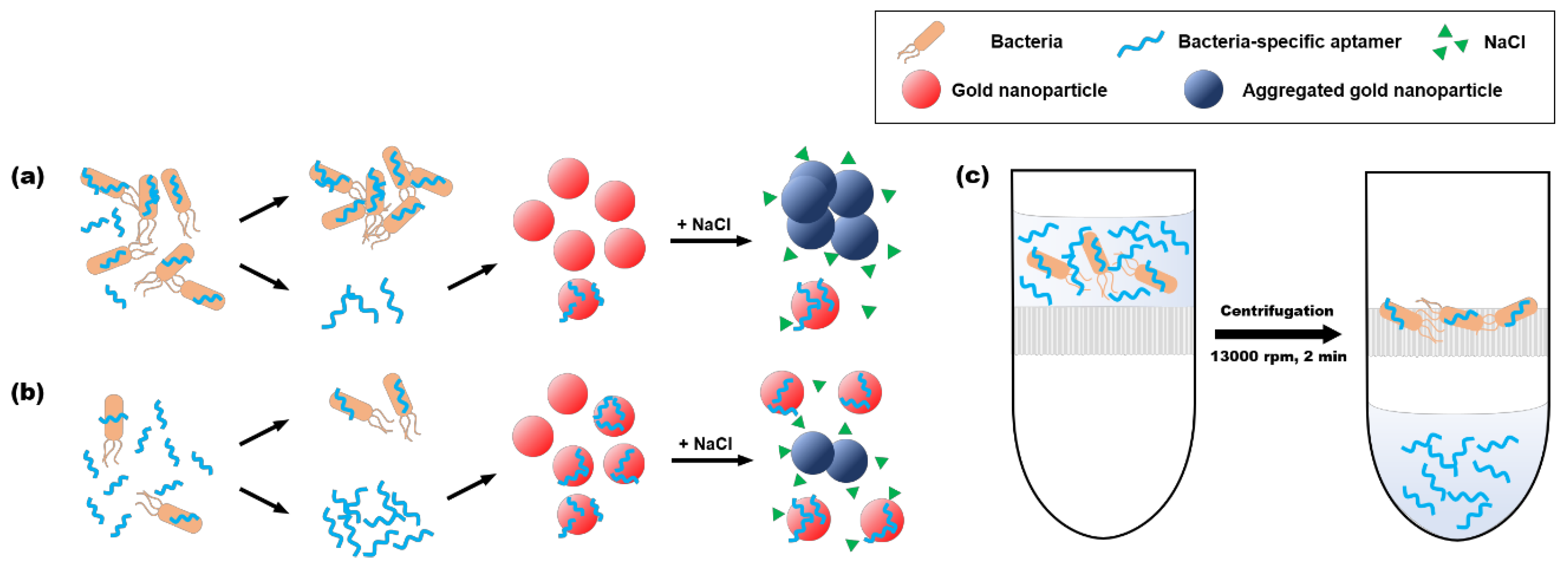 Chemosensors 09 00121 g003