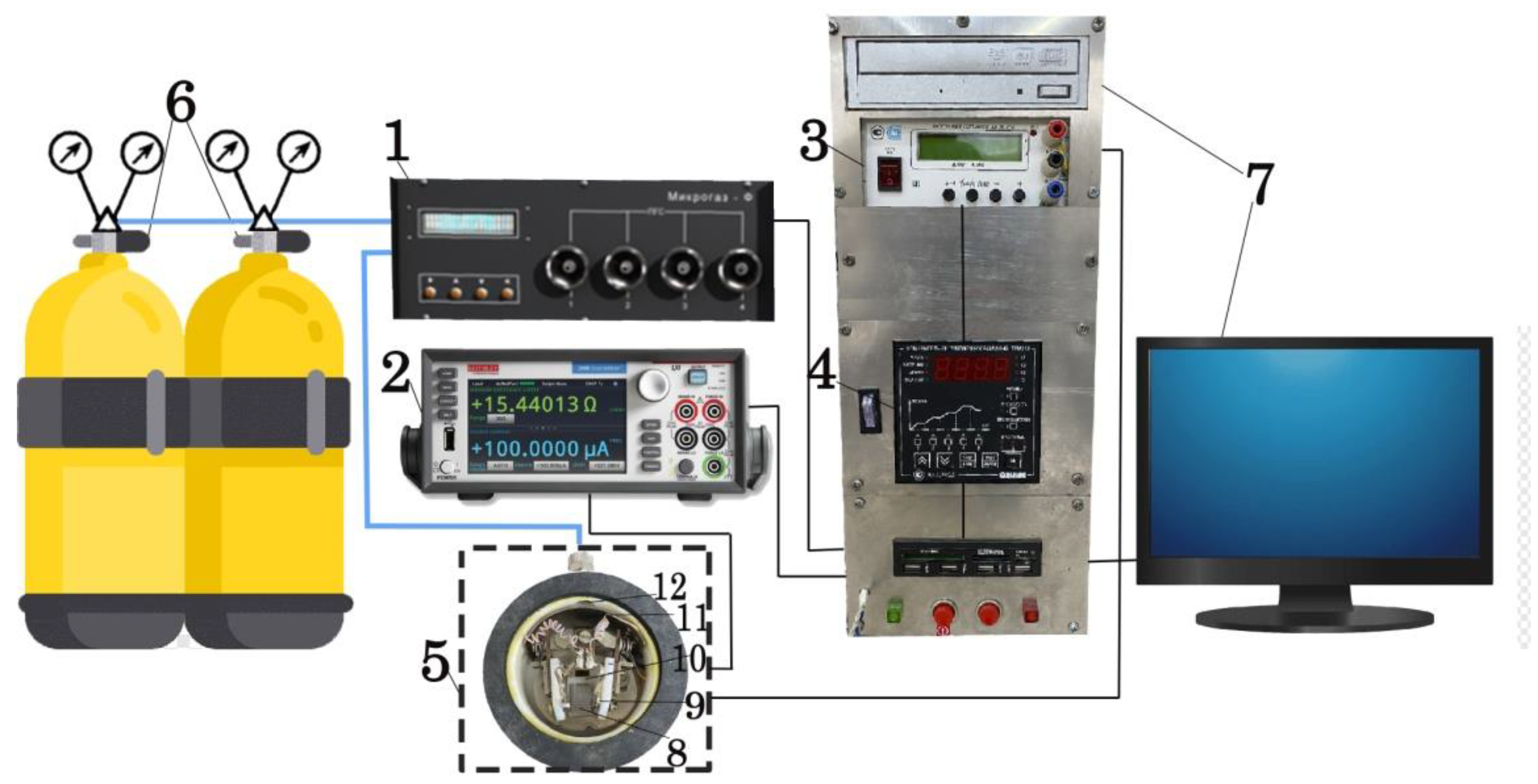 Chemosensors 09 00124 g001