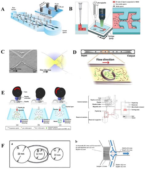 Chemosensors 09 00126 g001