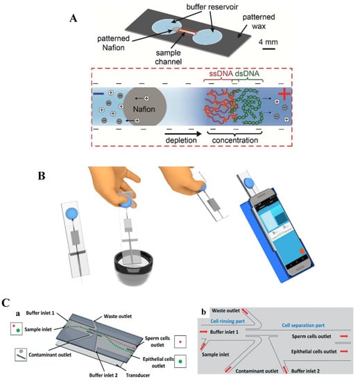 Chemosensors 09 00126 g003