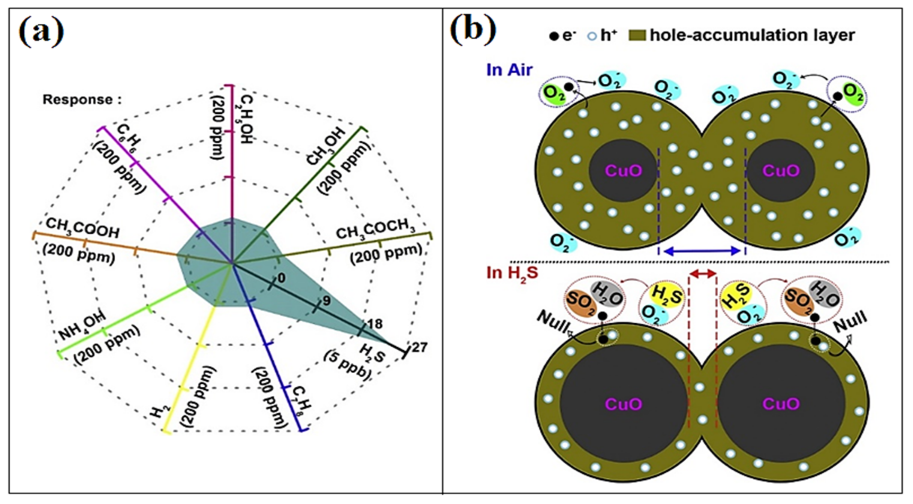 Chemosensors 09 00127 g001
