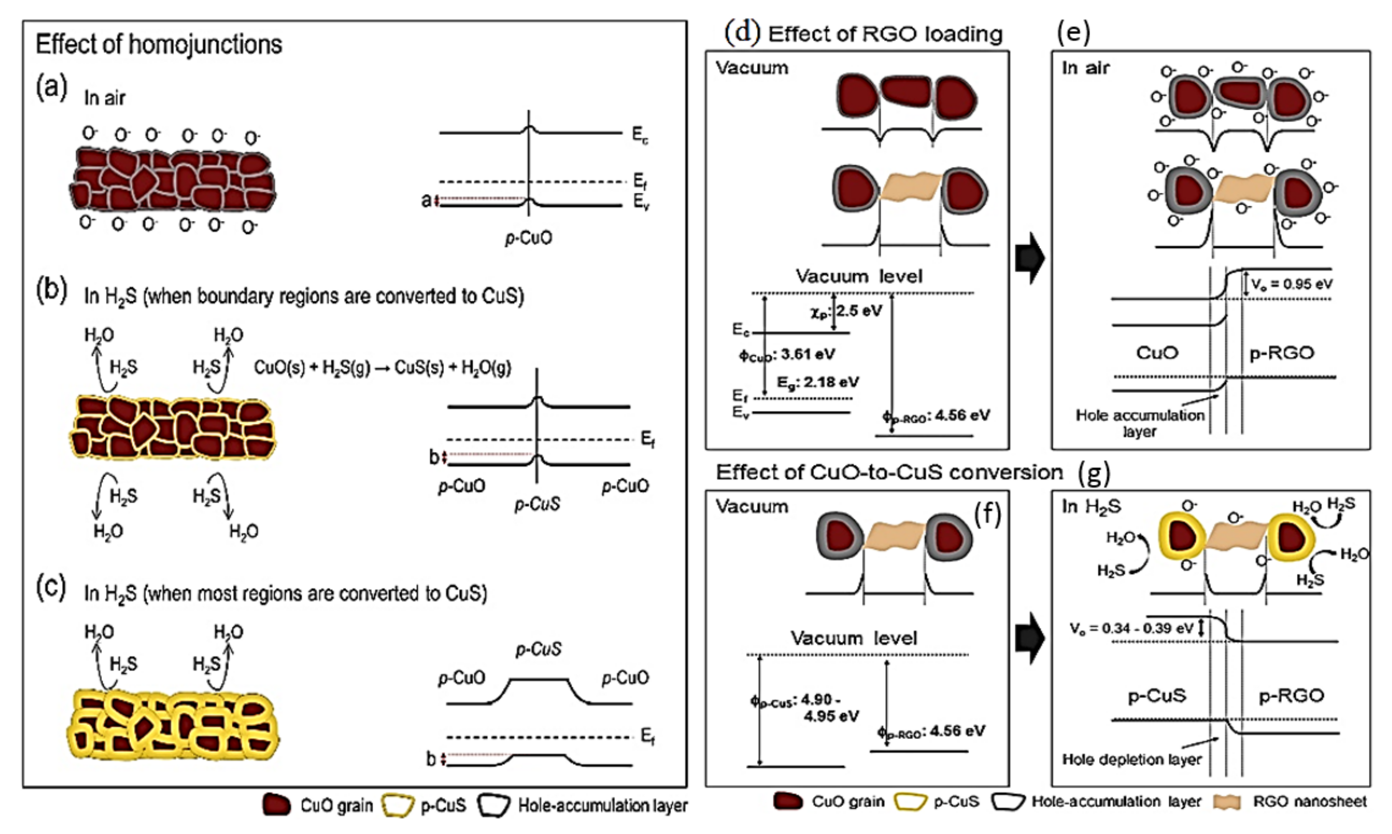 Chemosensors 09 00127 g005