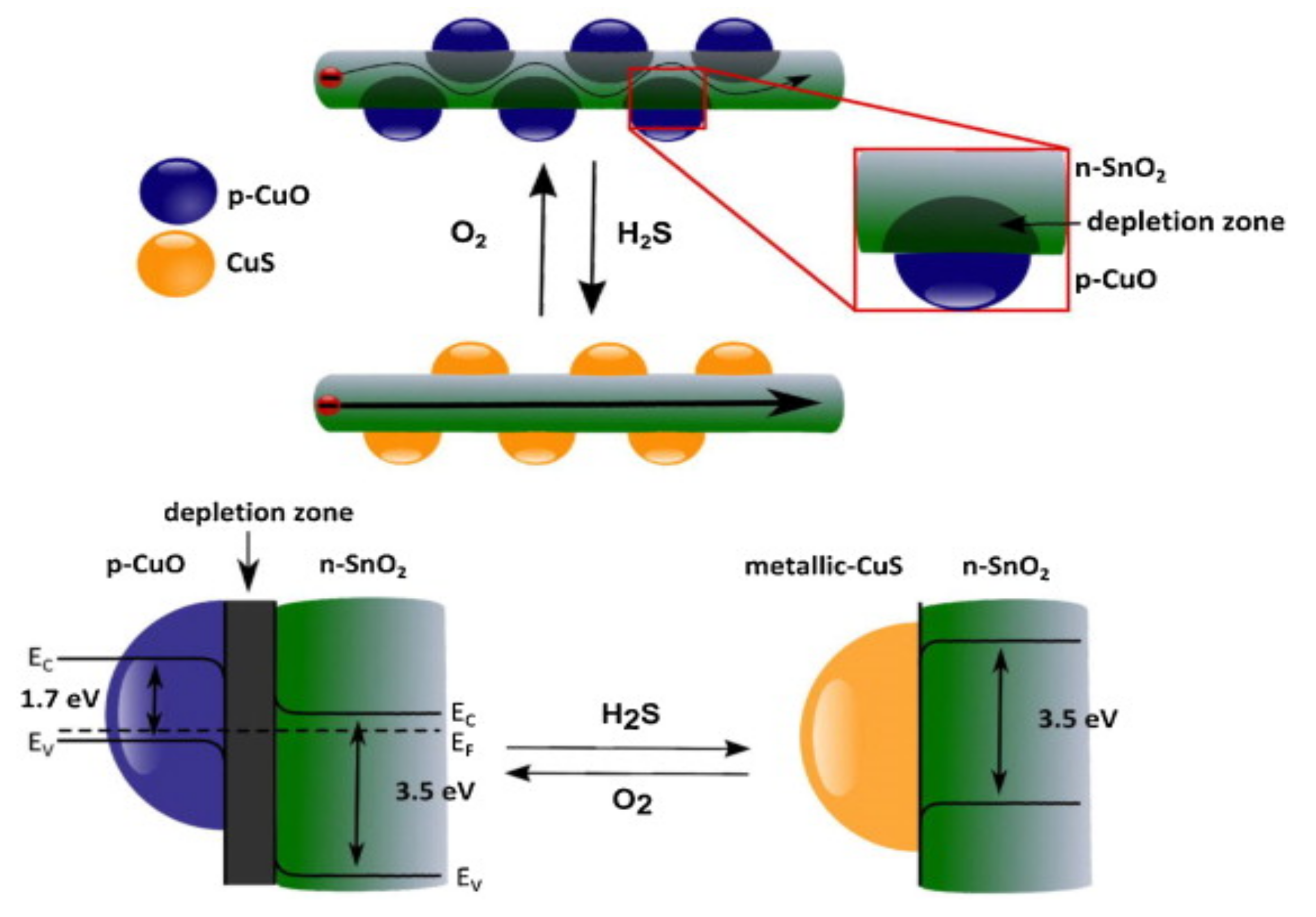 Chemosensors 09 00127 g009
