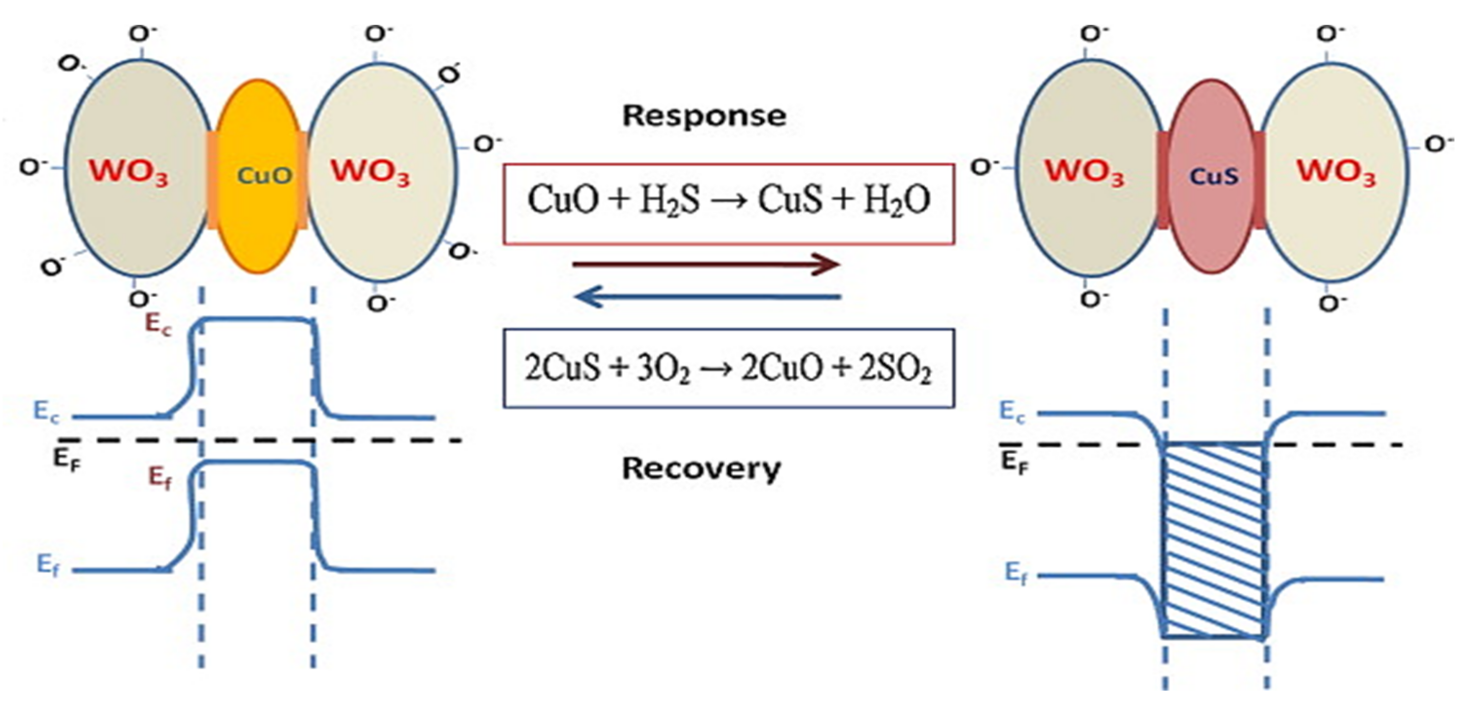 Chemosensors 09 00127 g010