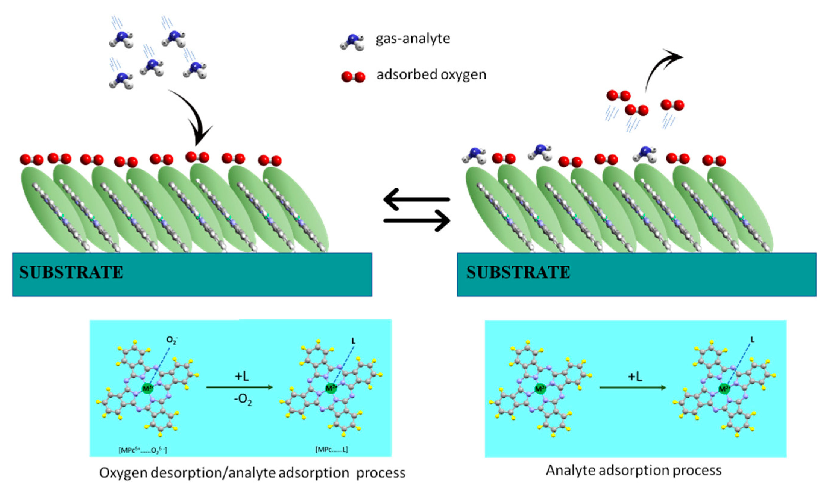 Chemosensors 09 00133 g003