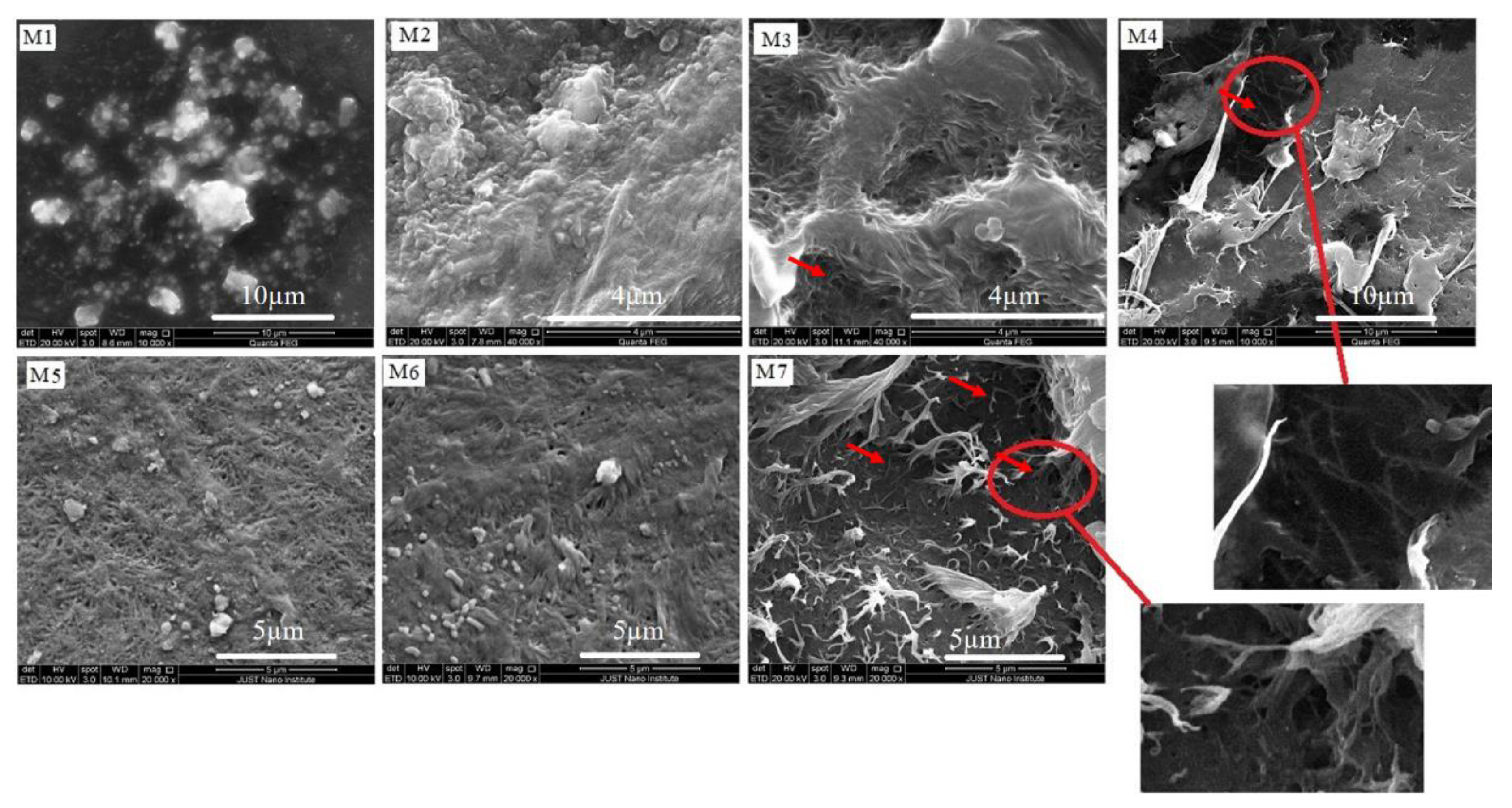 Chemosensors 09 00136 g007
