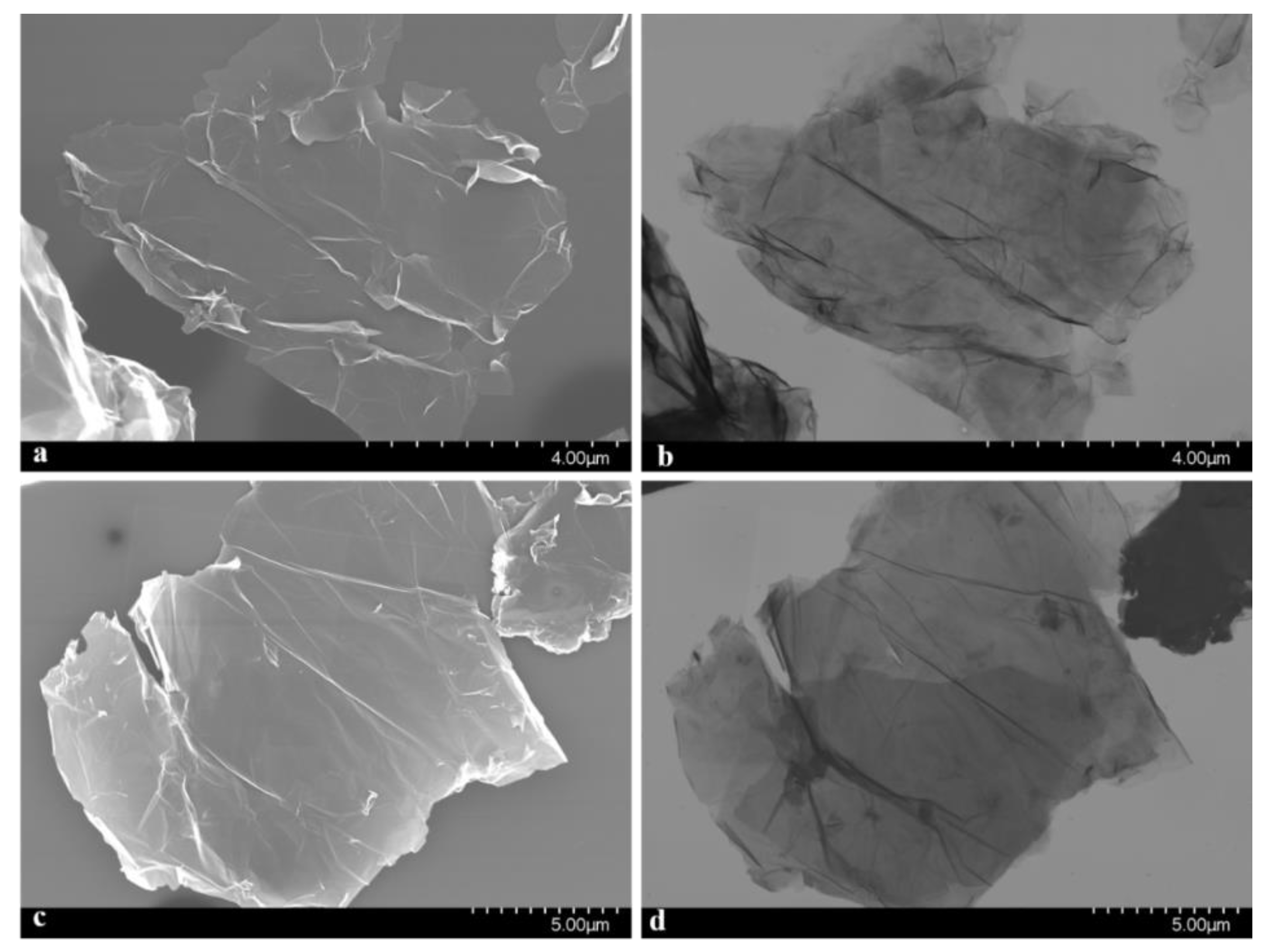 Chemosensors 09 00146 g002