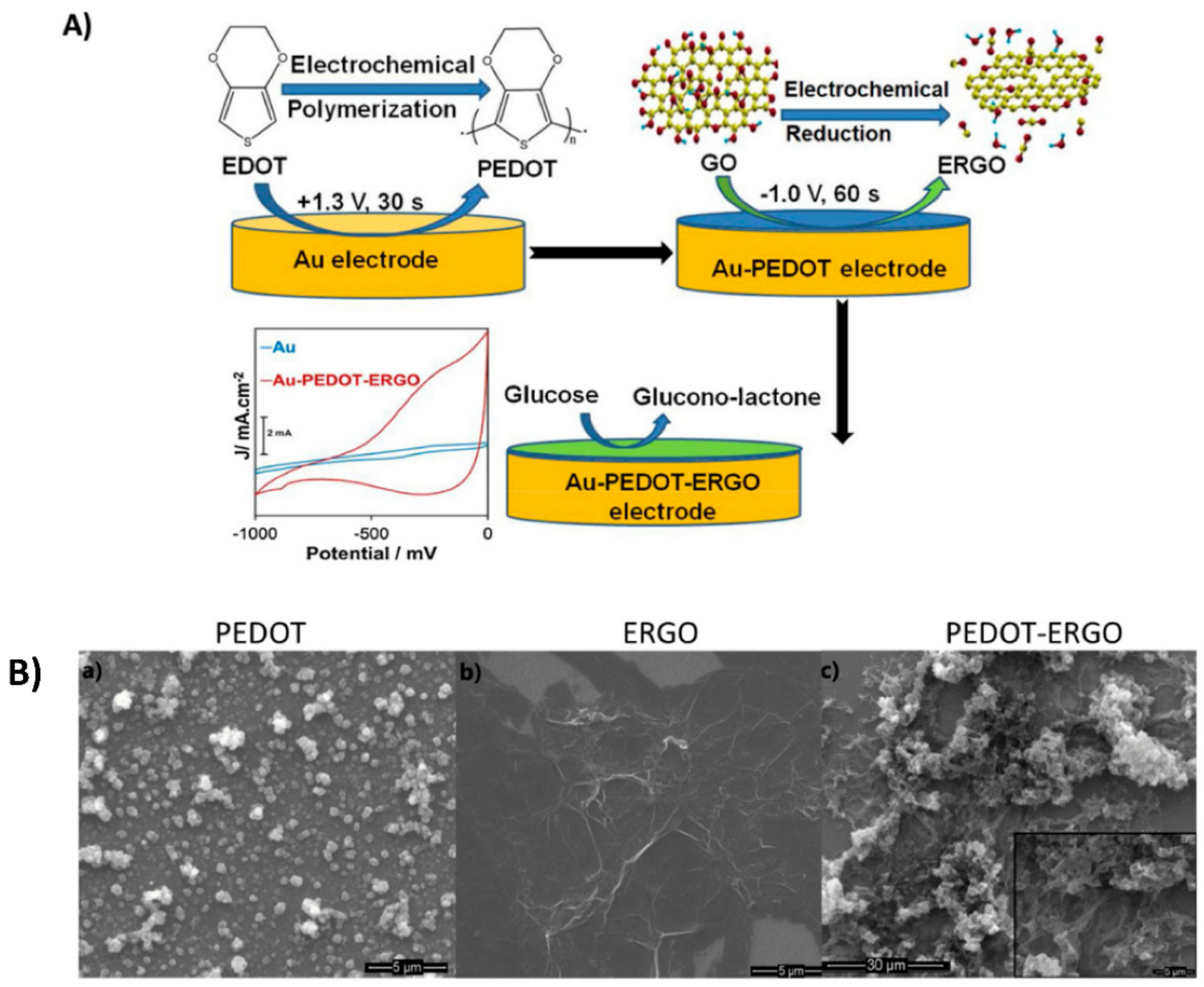 Chemosensors 09 00149 g007