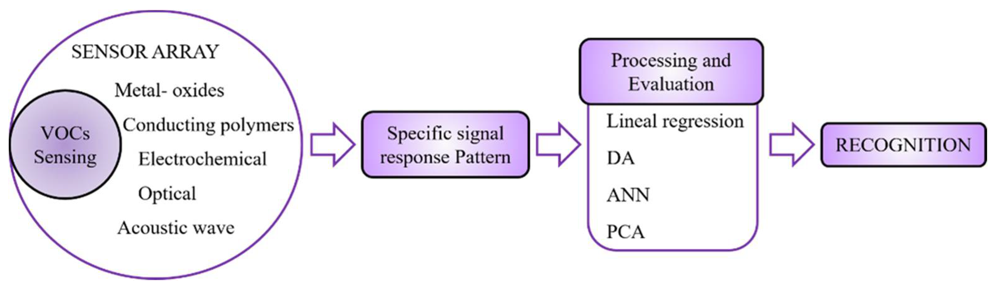 Chemosensors 09 00153 g001
