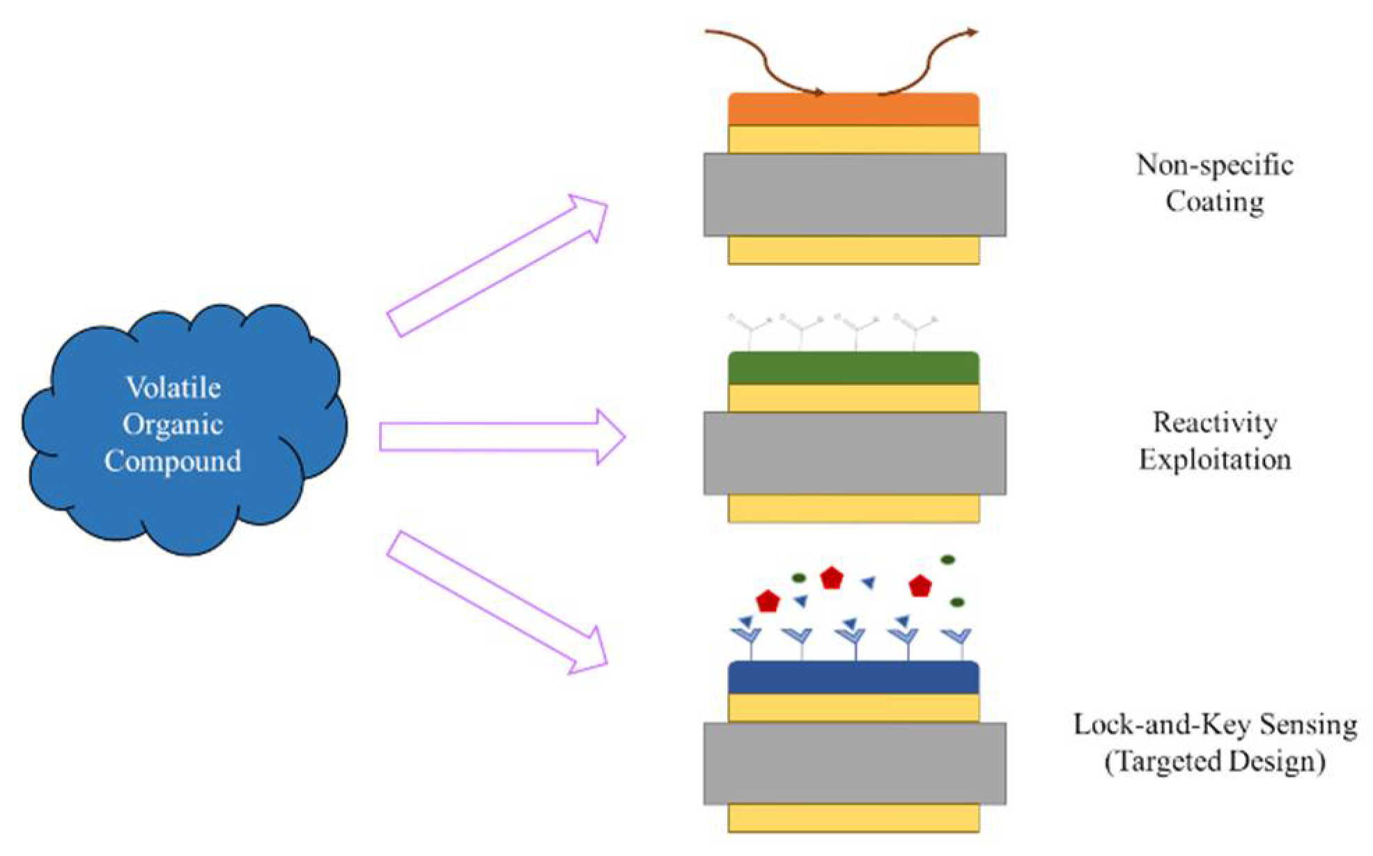 Chemosensors 09 00153 g005