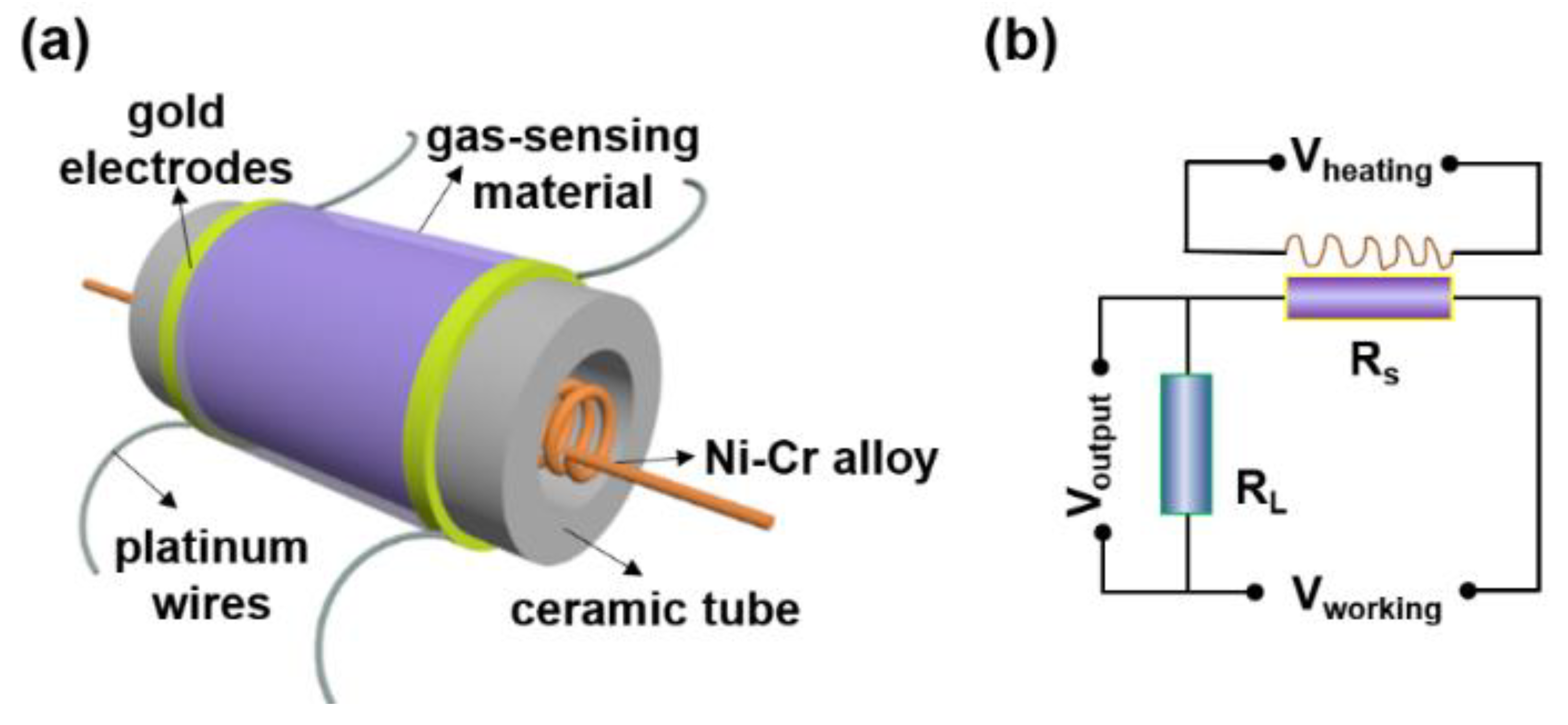Chemosensors 09 00156 g001