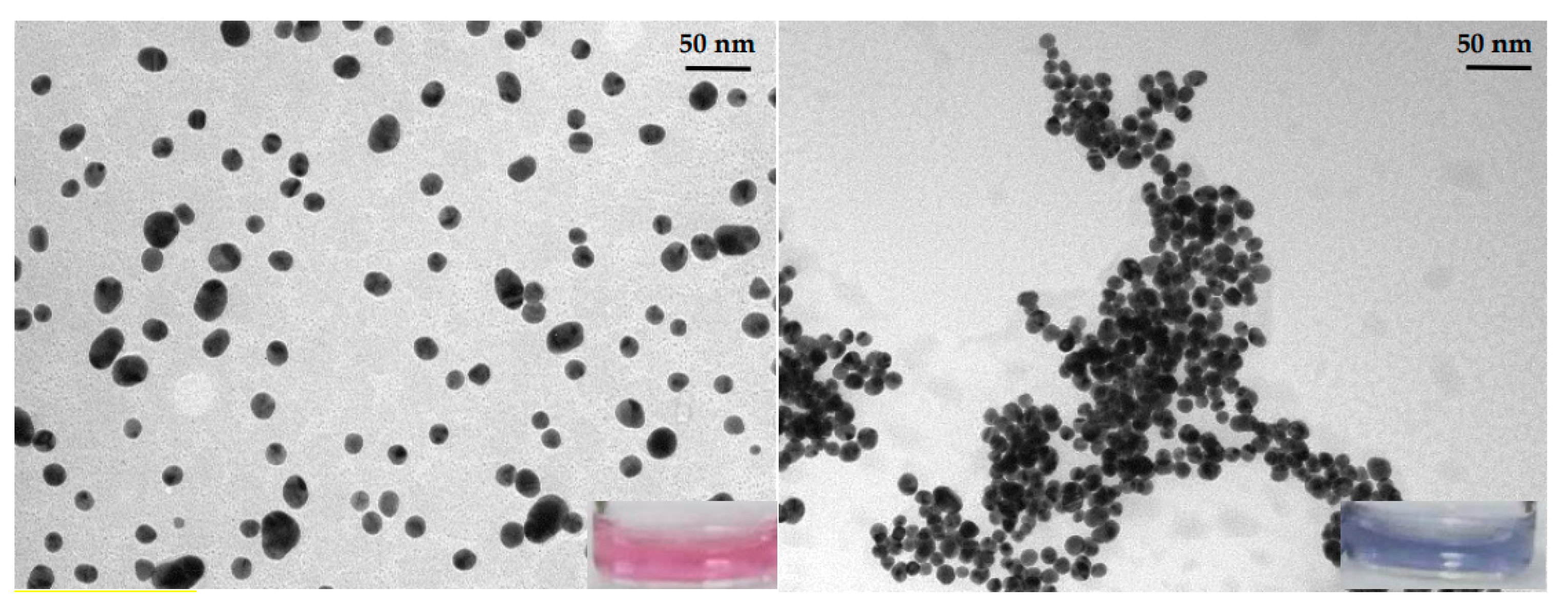Chemosensors 09 00160 g001