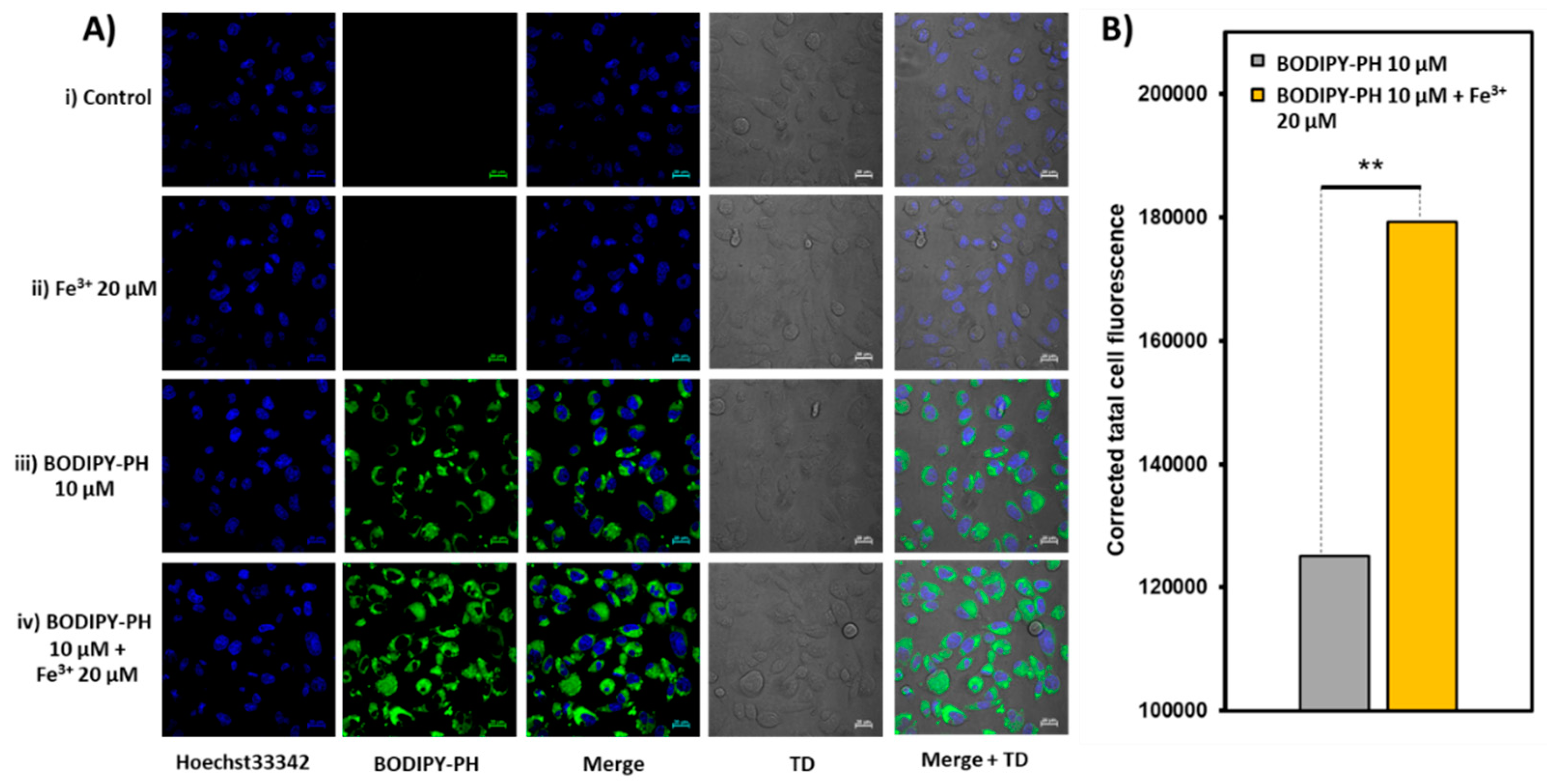 Chemosensors 09 00165 g014