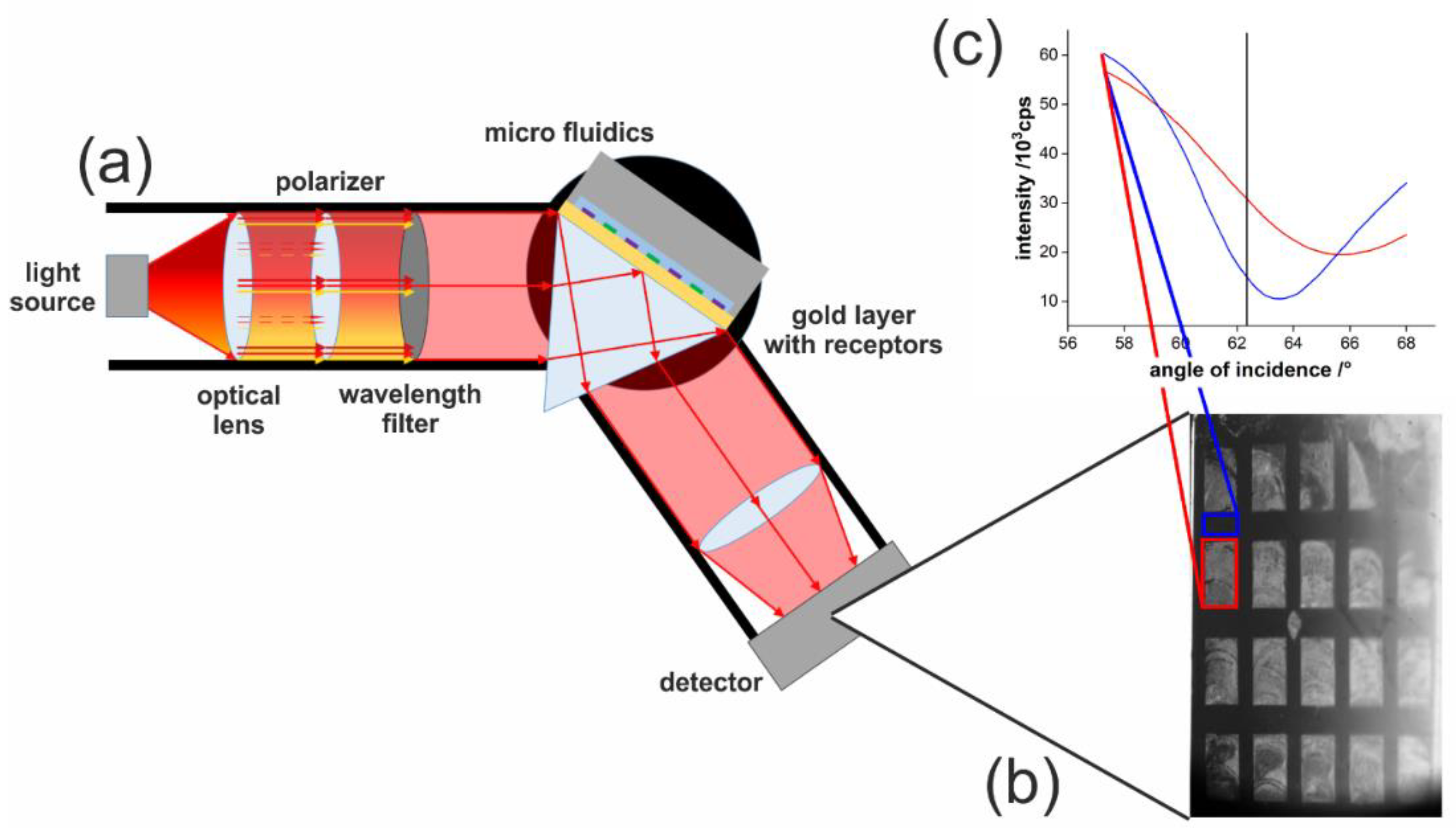 Chemosensors 09 00175 g003